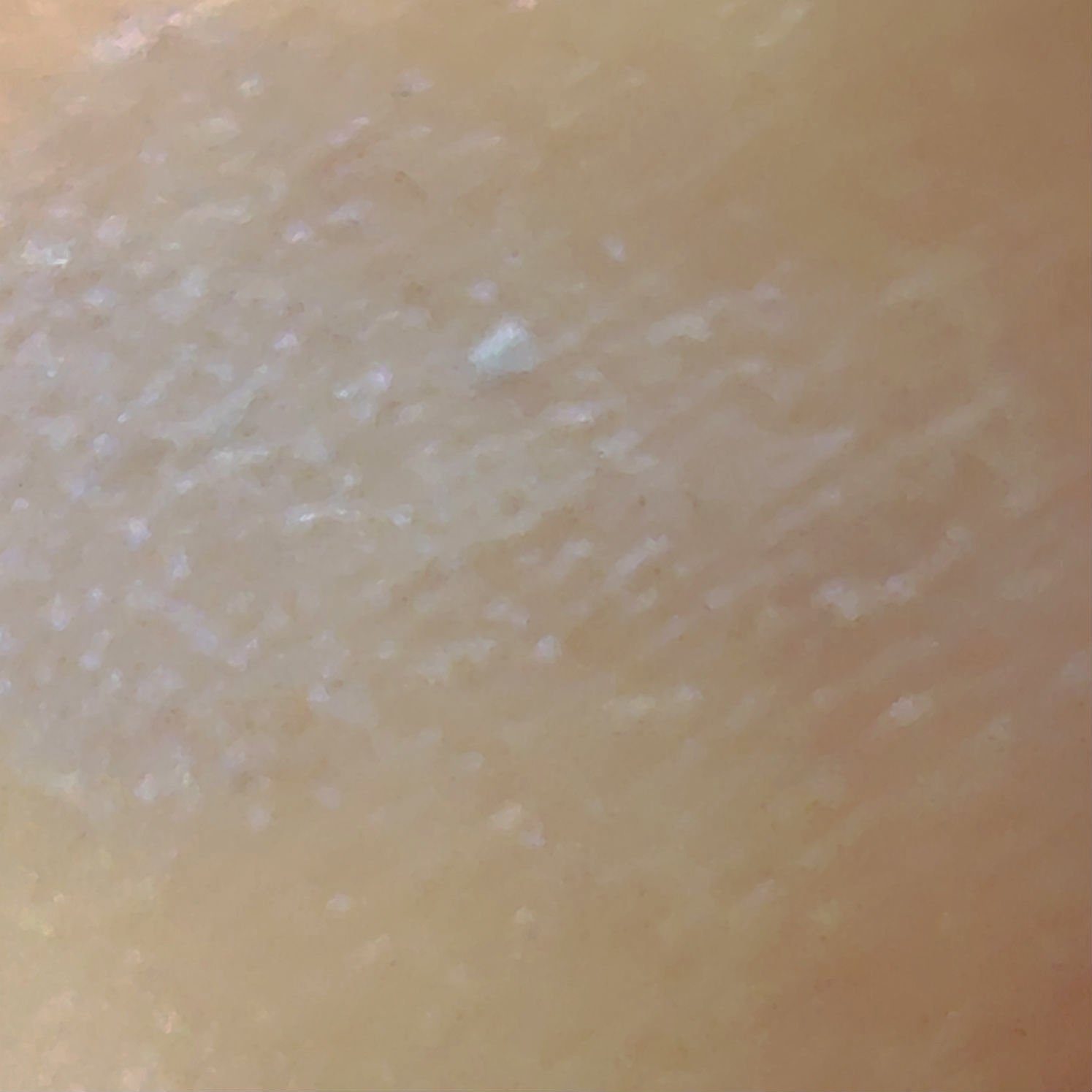 コンスピキュアス アイズ リミテッドコレクション a/Amplitude/アイシャドウパレットを使ったクチコミ（3枚目）