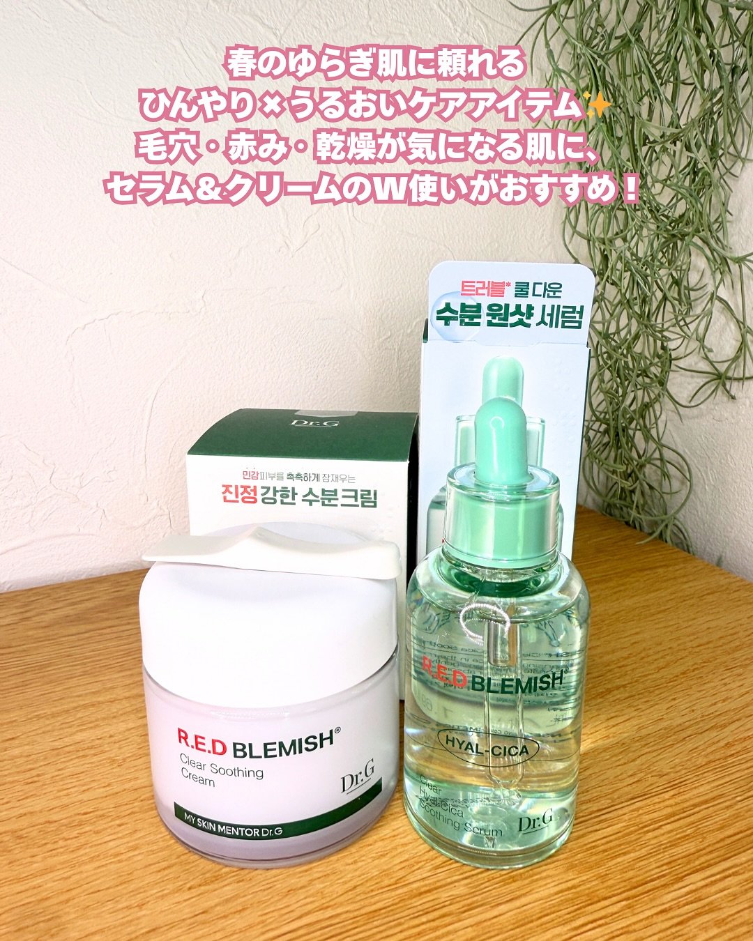 レッドブレミッシュ クリアスージングクリーム/Dr.G/フェイスクリームを使ったクチコミ（2枚目）