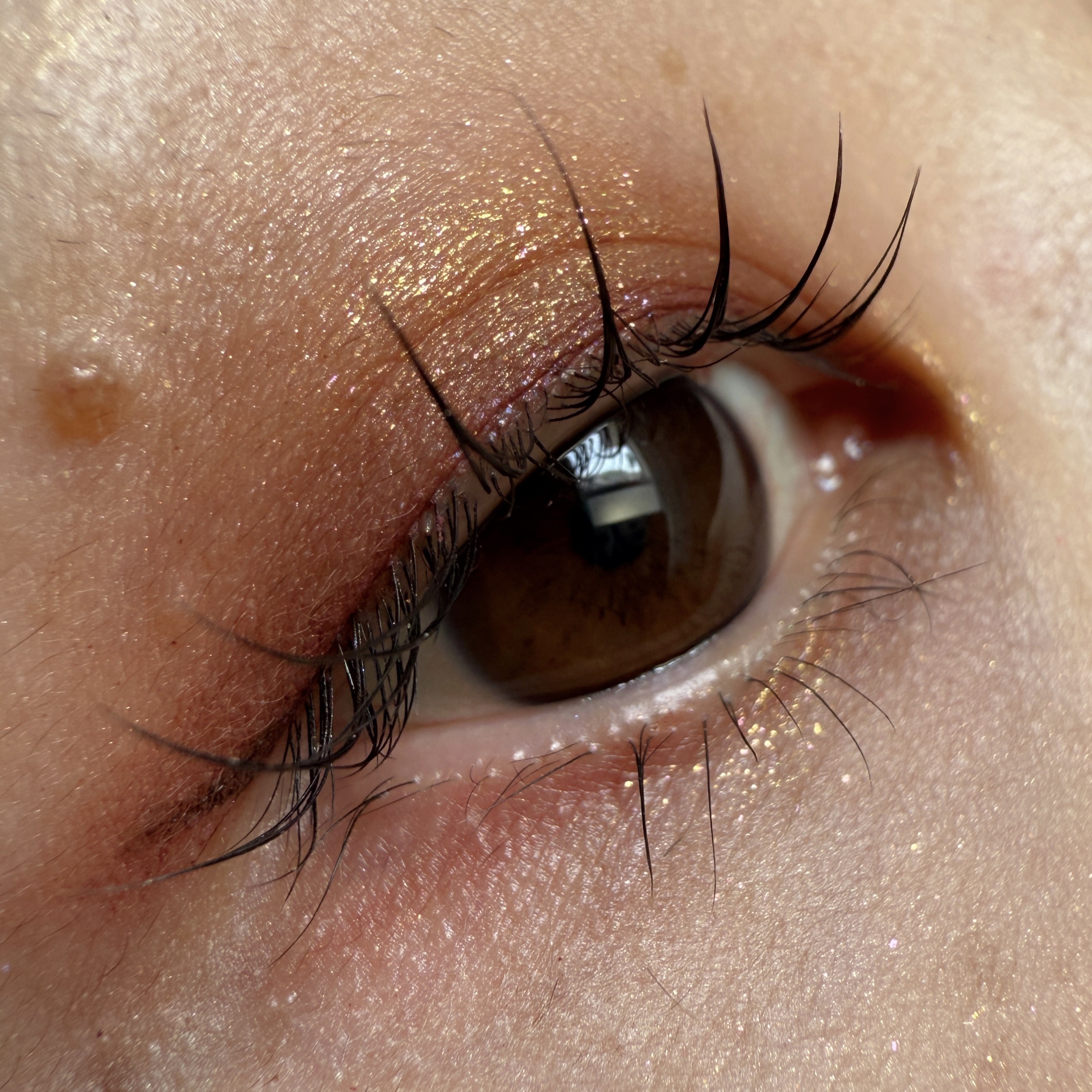 レ ベージュ パレット ルガール/CHANEL/アイシャドウパレットを使ったクチコミ（1枚目）