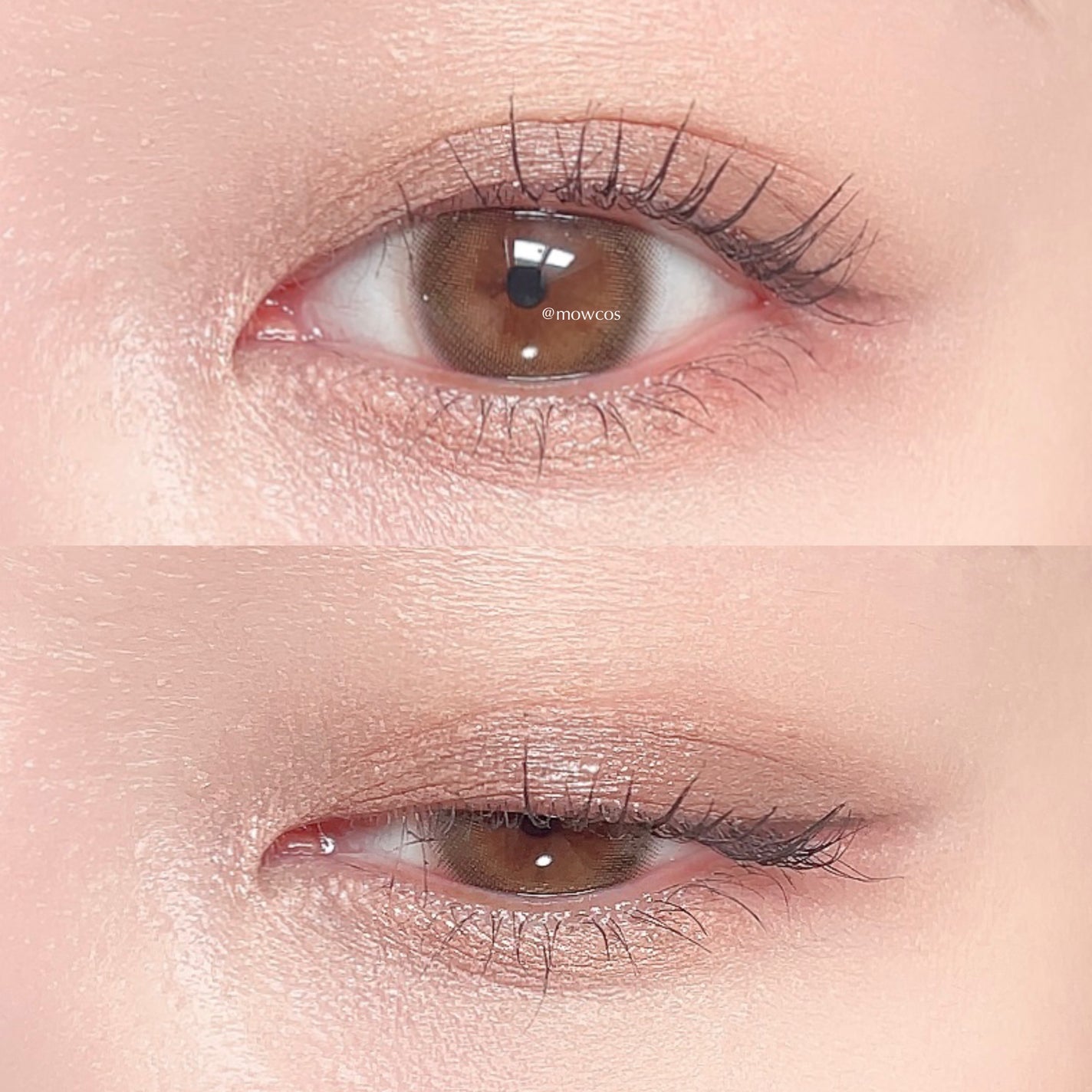 ウインク アイ シェード プライマー/Javin De Seoul/リキッドアイシャドウを使ったクチコミ(4枚目)