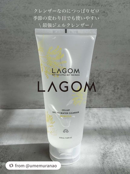 ジェルトゥウォーター クレンザー (MI)/LAGOM /その他洗顔料を使ったクチコミ(1枚目)