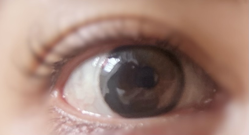 Secretive Kristen/Hapa kristin/カラーコンタクトレンズを使ったクチコミ（1枚目）