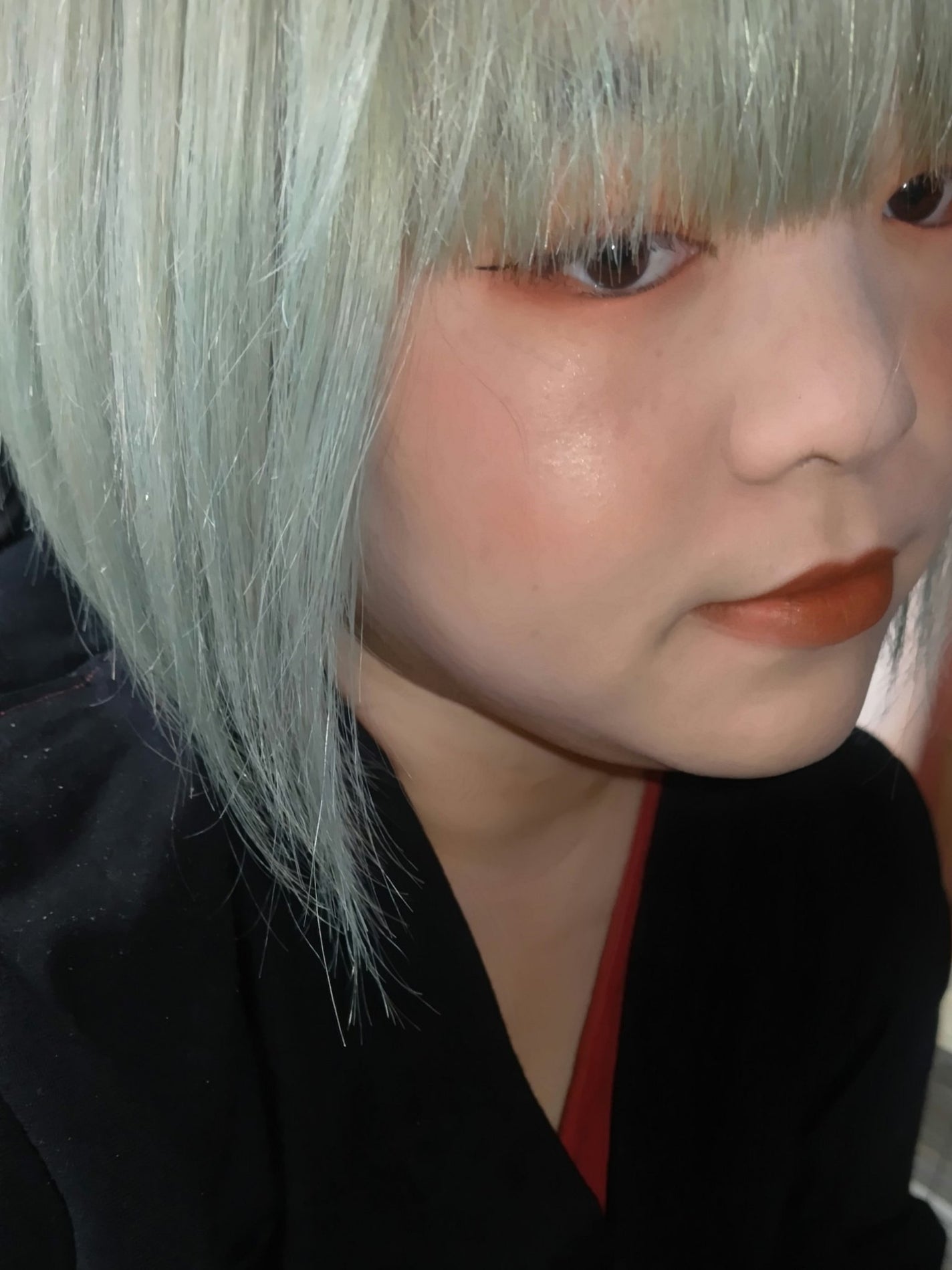 ピュア チーク カラー/heme/パウダーチークを使ったクチコミ(7枚目)