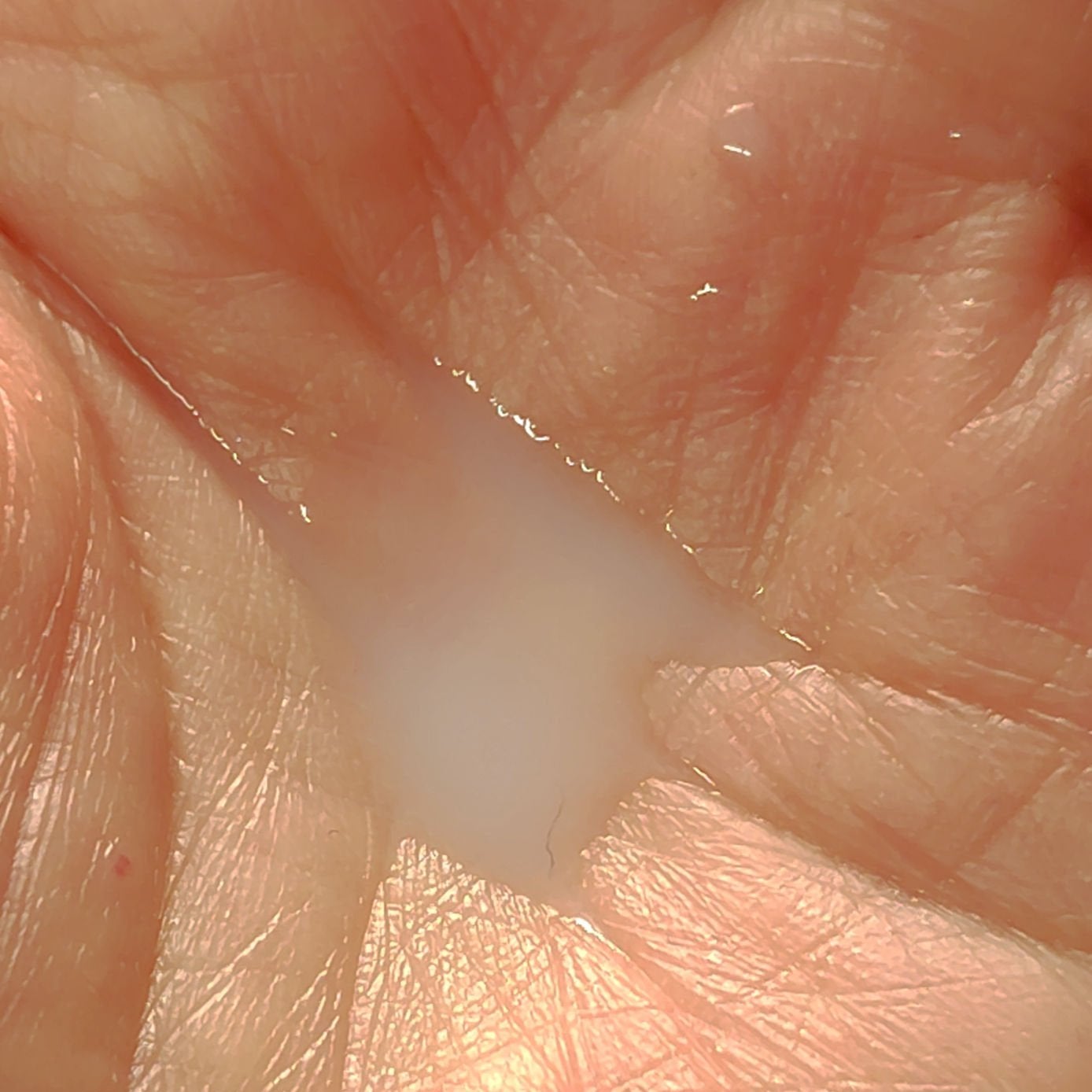 フェイシャル トリートメント エッセンス/SK-II/化粧水を使ったクチコミ(6枚目)