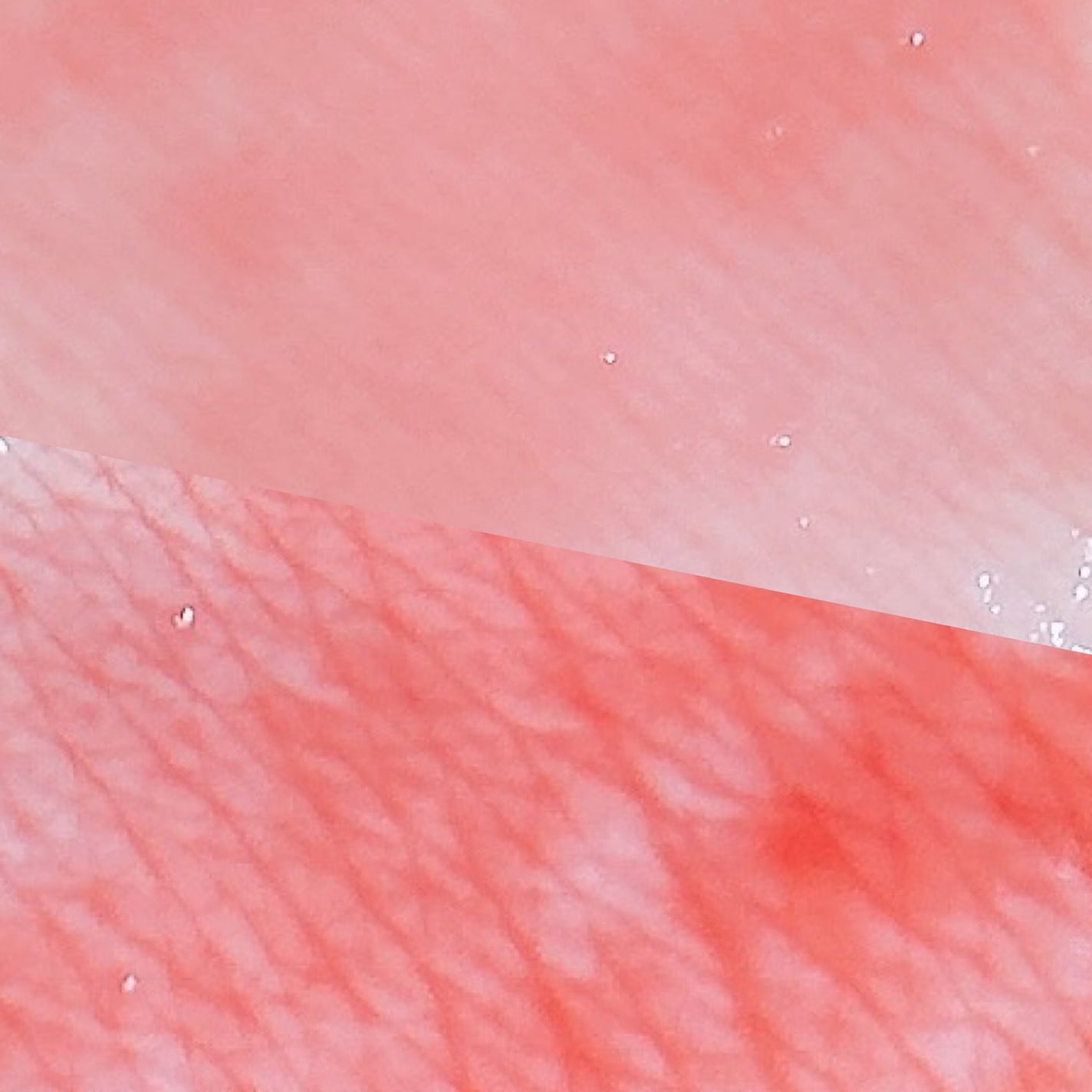 らすここ@フォロバ100 on LIPS 「\#辛リップ爆誕🔥/バニラコのボリュームリッププランパーにNE..」(3枚目)