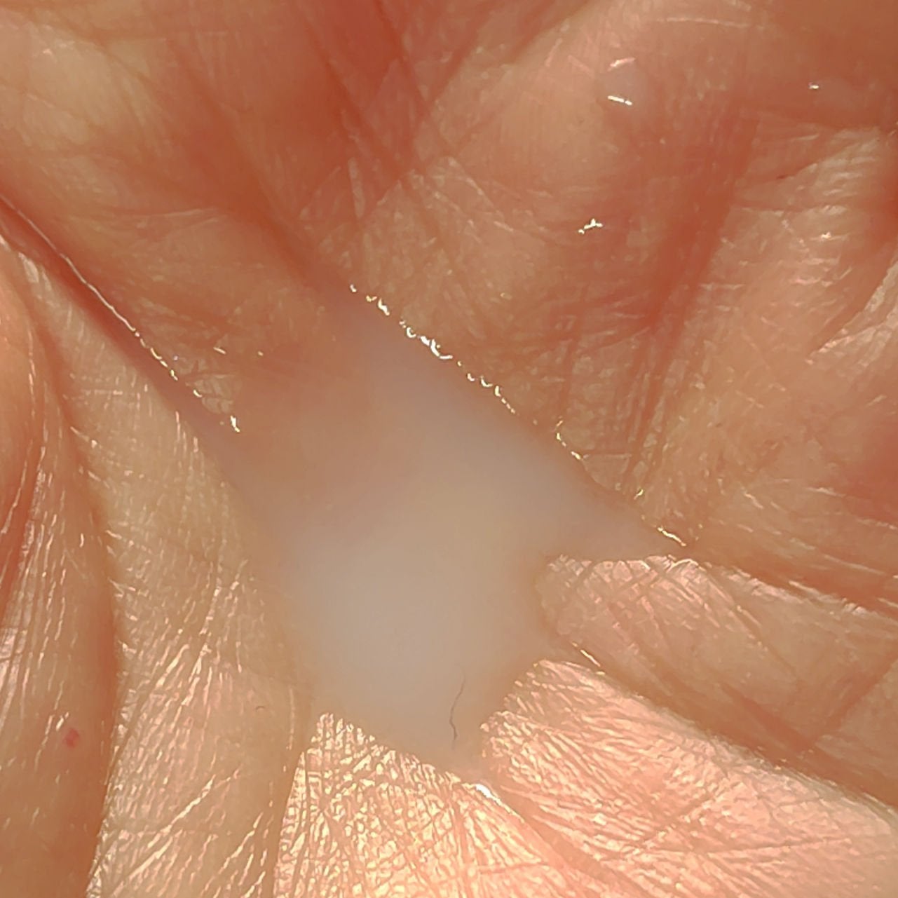 フローラドリップ s/ALBION/化粧水を使ったクチコミ(4枚目)