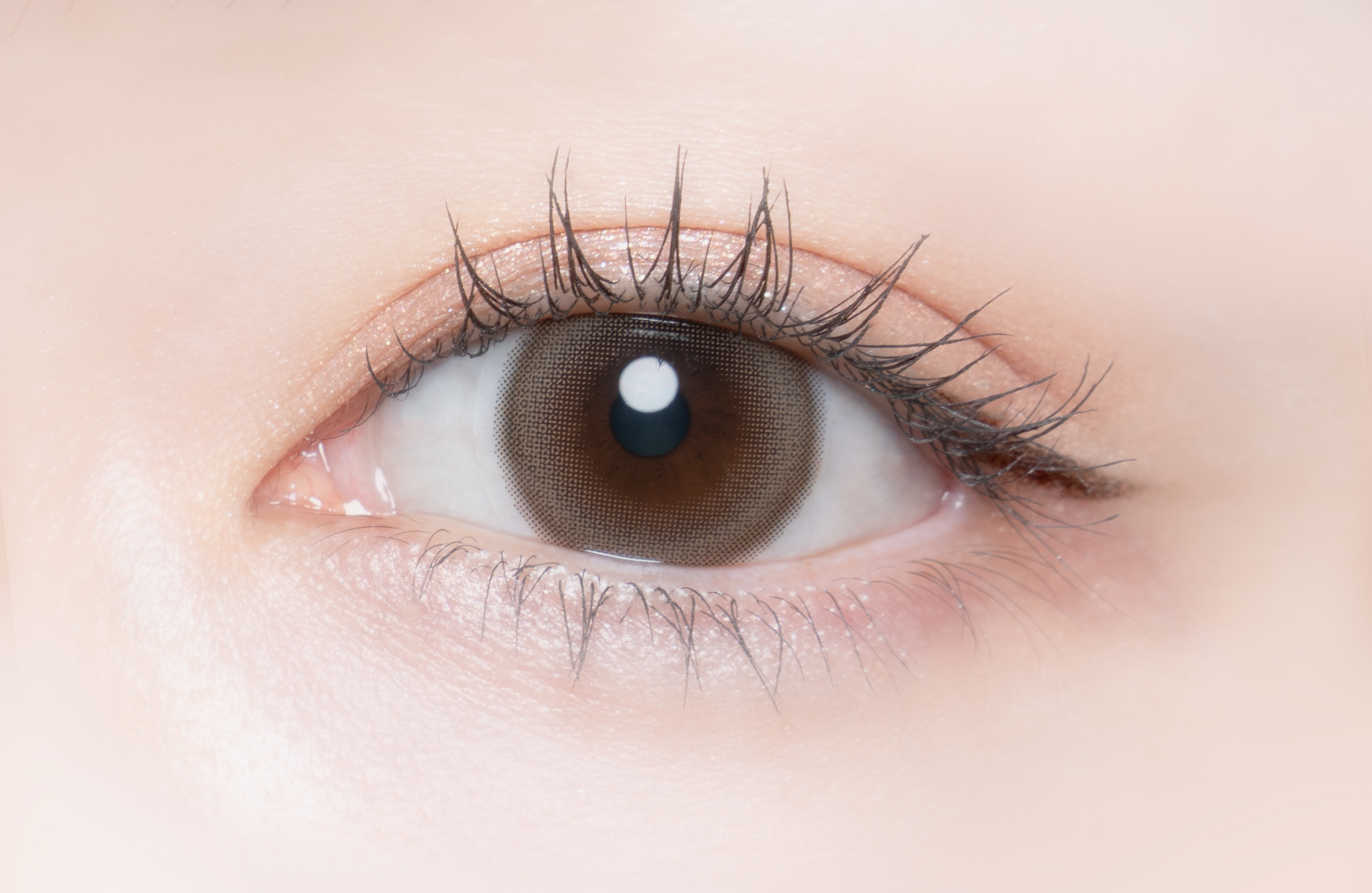 Cheritta 1day ココムード(Coco Mood）