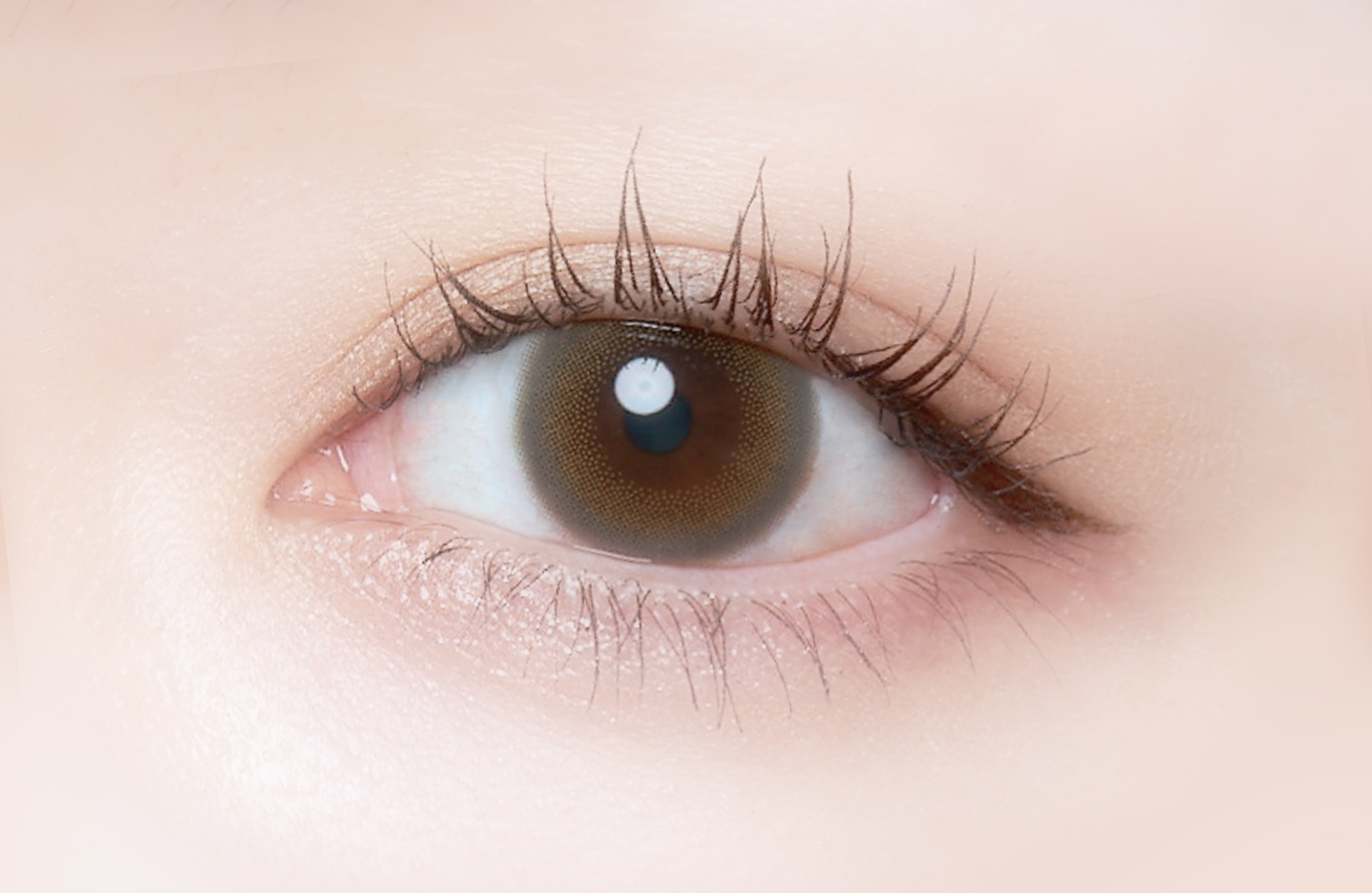 Cheritta 1day ベビーグレージュ(Baby Grege)