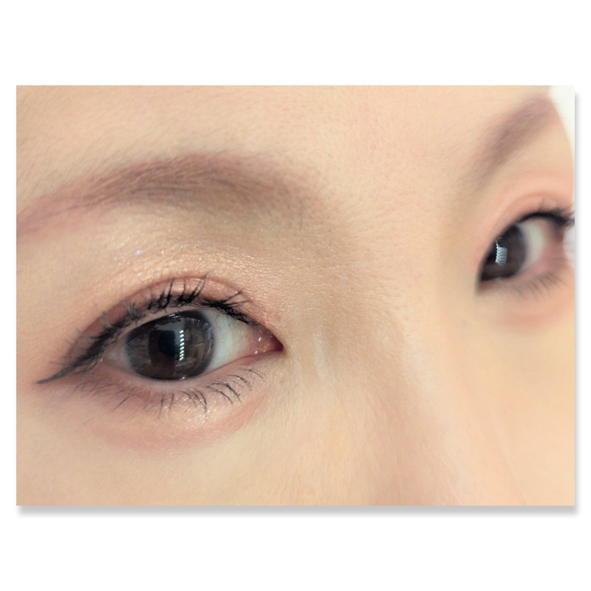 HUAMAO/SHOBIDO/アイシャドウパレットを使ったクチコミ（2枚目）