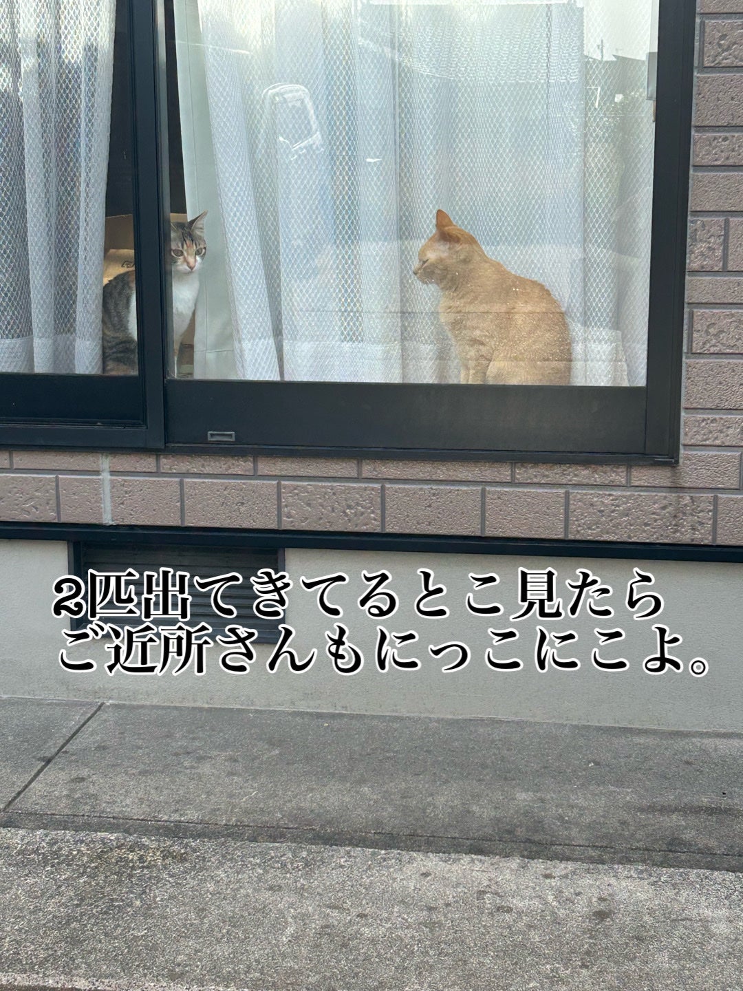 ðââ¬ã«ãããðŸ on LIPS ã2å¹ã§ãåºè¿ããããŒãð¶ã£ãŠæã£ããçé¢ãå
¥ããšã©ã¡ããåºãŠã..ãïŒ2æç®ïŒ