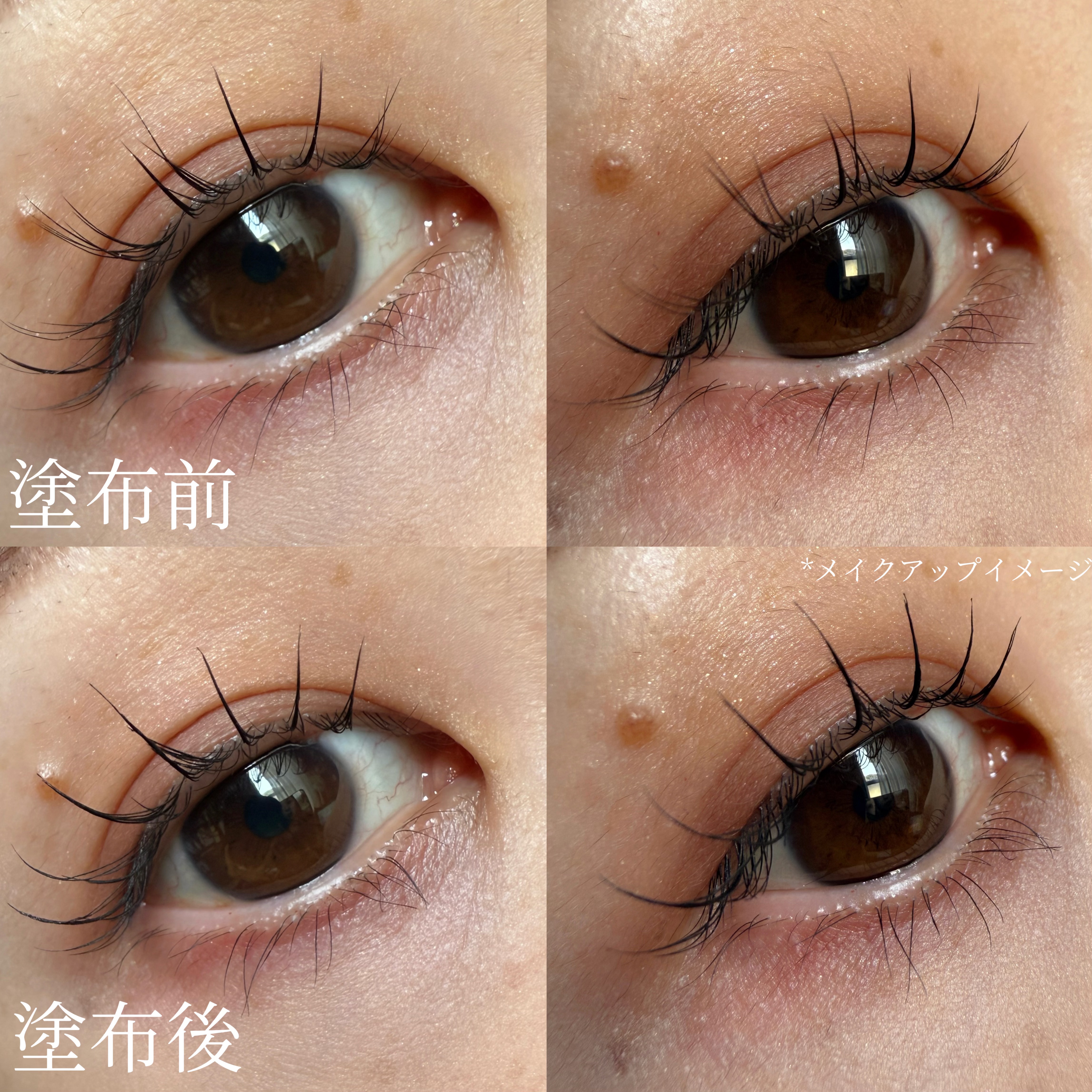 防水カーリングマスカラ/ZEESEA/マスカラを使ったクチコミ（3枚目）