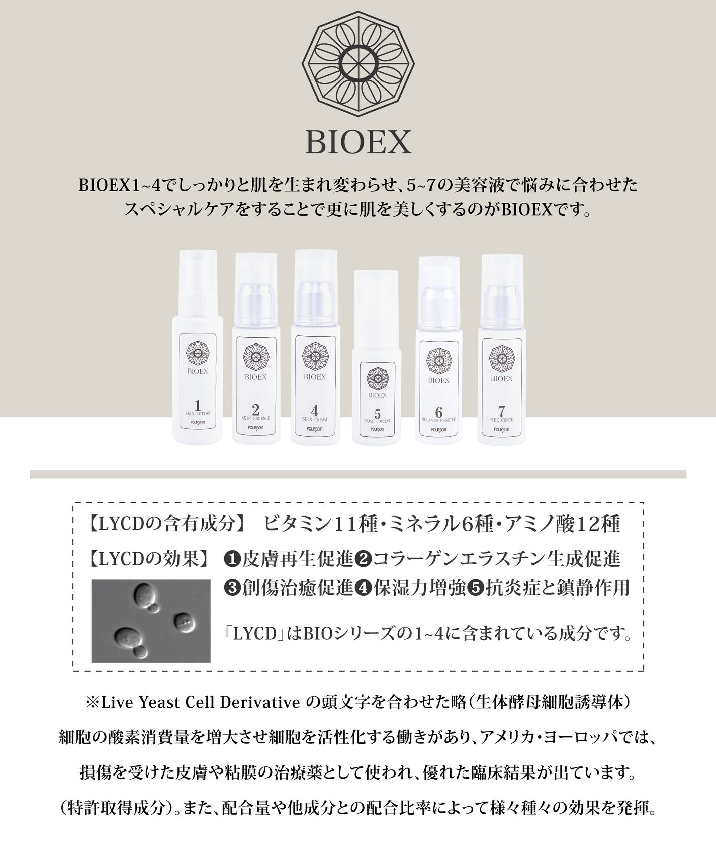 メラニンリセッター BIO EX6/プルソワン/美容液を使ったクチコミ(4枚目)