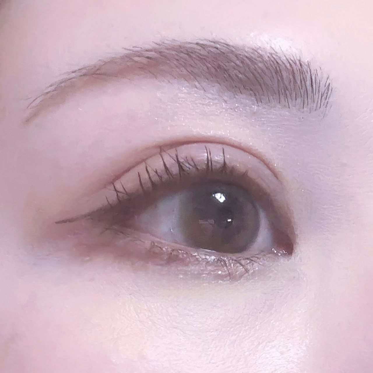 ReVIA 1day/ReVIA/ワンデー（１DAY）カラコンを使ったクチコミ（3枚目）