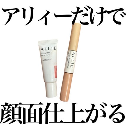 アルビオン スタジオ レイヤードトリック コンシーラー/ALBION/パレットコンシーラーを使ったクチコミ(1枚目)