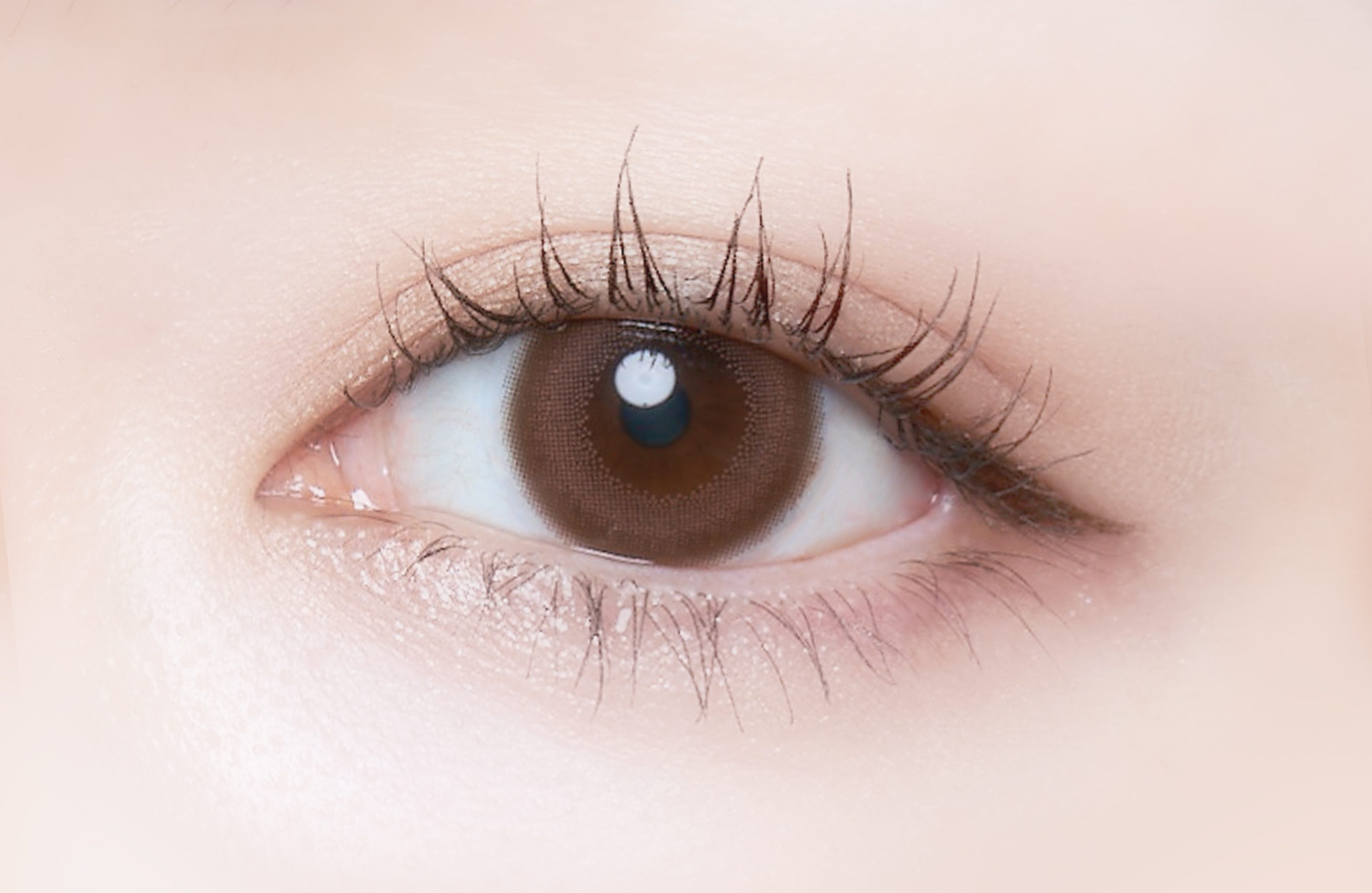 Cheritta 1day メロウロゼ(Mellow Rose)