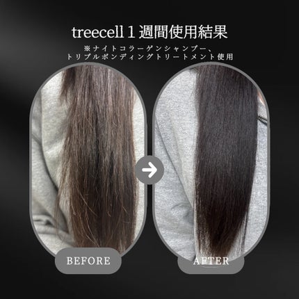 ナイトコラーゲンシャンプーミッドナイトフォレスト/treecell/市販シャンプーを使ったクチコミ(10枚目)