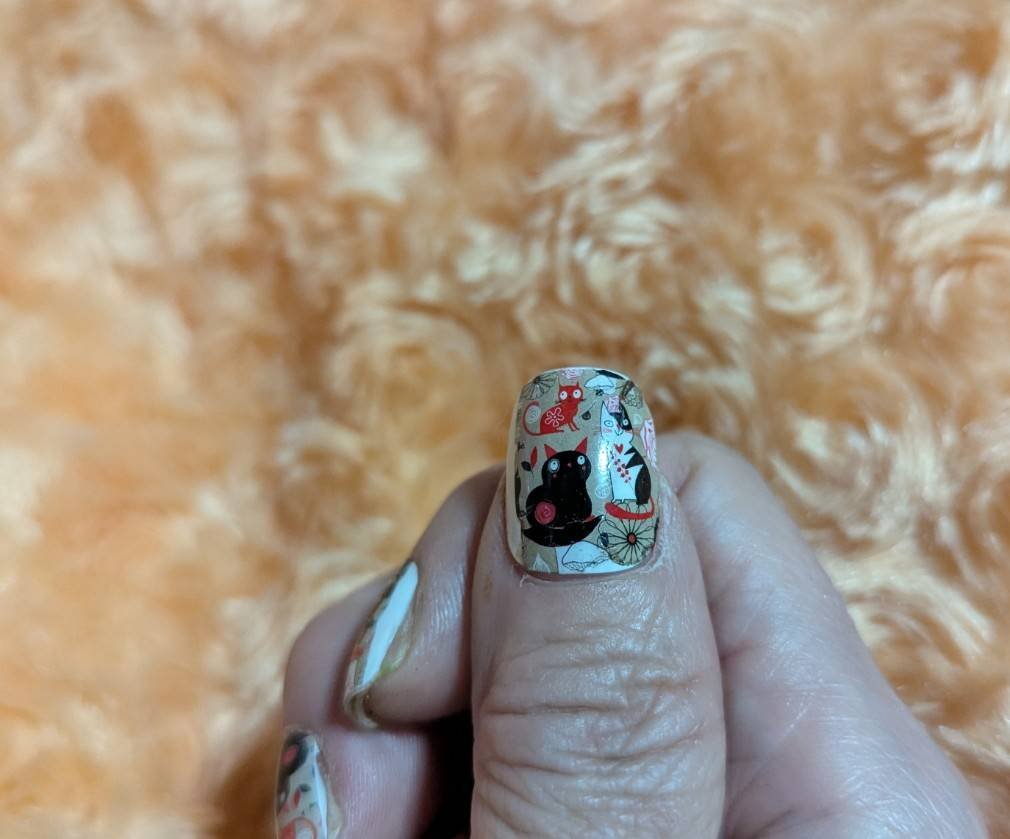 ネイルラッカー/O・P・I/マニキュアを使ったクチコミ（1枚目）