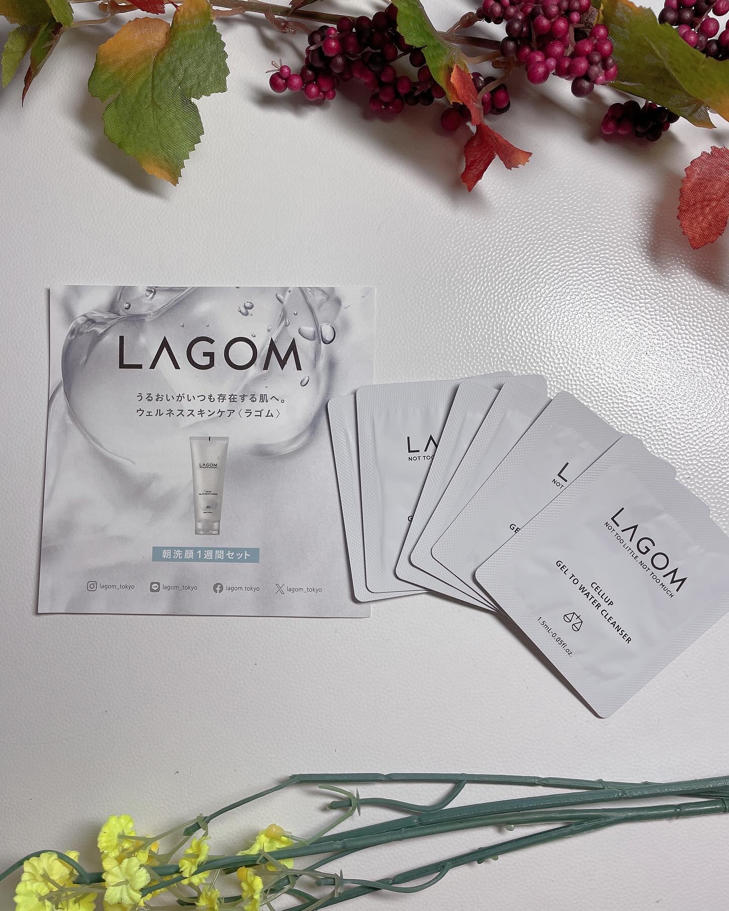 ラゴム ジェルトゥウォーター クレンザー(朝用洗顔)/LAGOM /その他洗顔料を使ったクチコミ（1枚目）