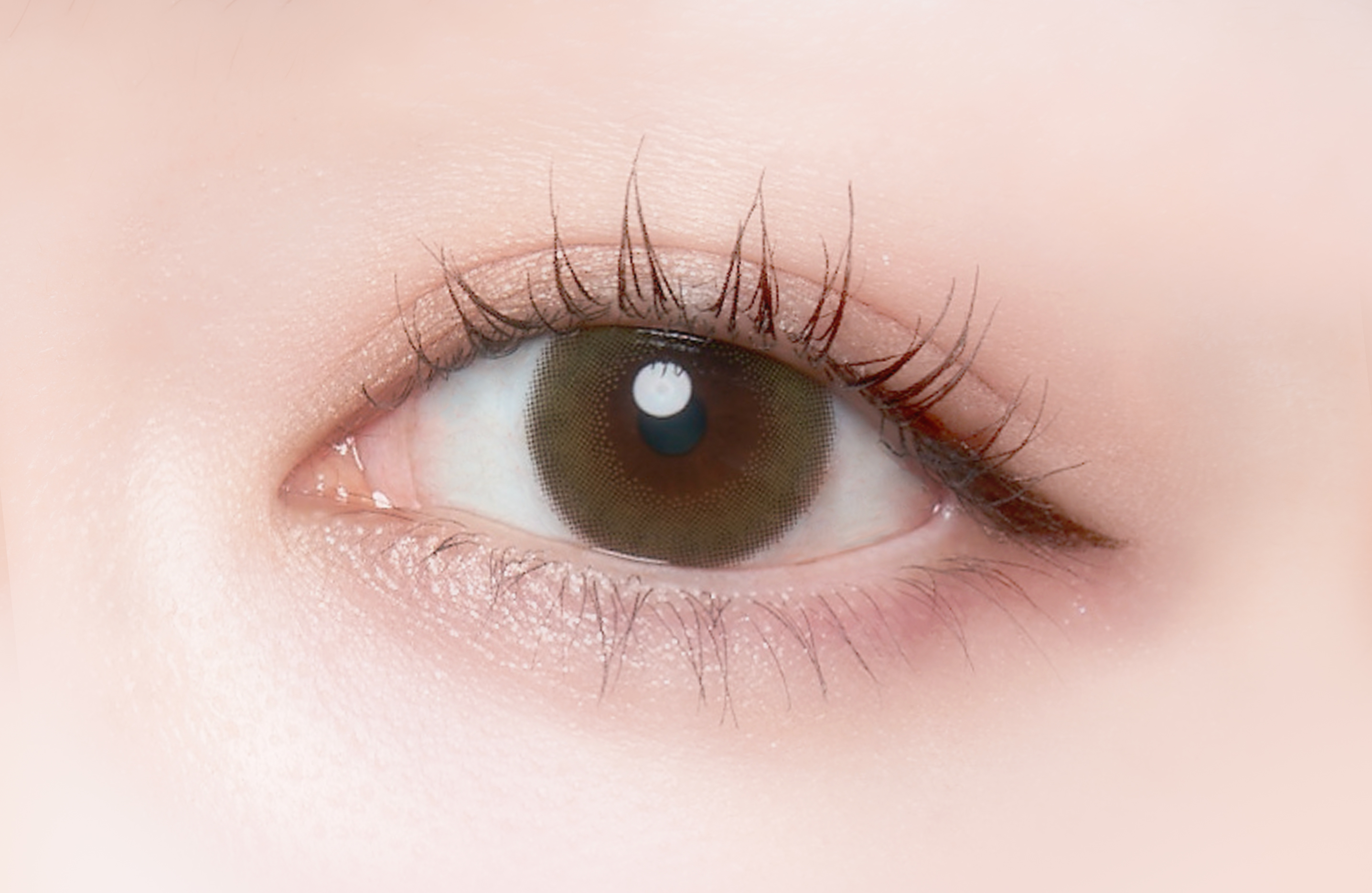 Cheritta 1day ミミオリーブ(Mimi Olive)