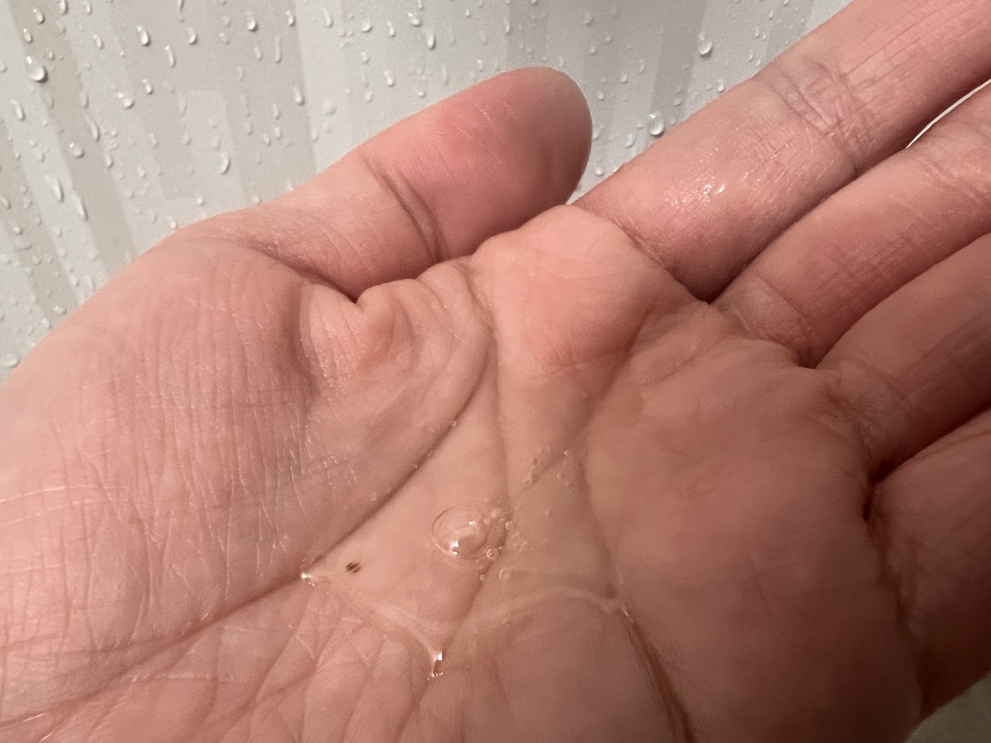 ナイトコラーゲンシャンプーミッドナイトフォレスト/treecell/市販シャンプーを使ったクチコミ（2枚目）