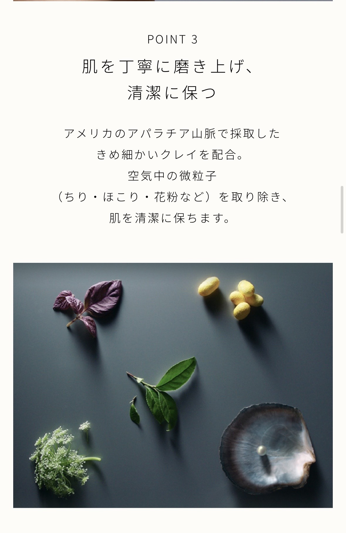 ゴマージュアフィナン/クレ・ド・ポー ボーテ/スクラブ・ゴマージュを使ったクチコミ（2枚目）