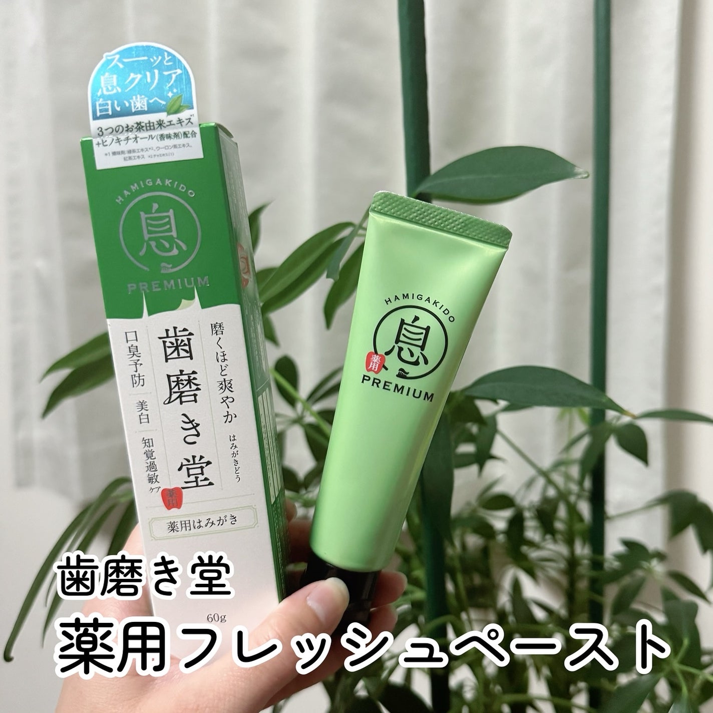 薬用フレッシュペースト【医薬部外品】/歯磨き堂/歯磨き粉を使ったクチコミ(1枚目)