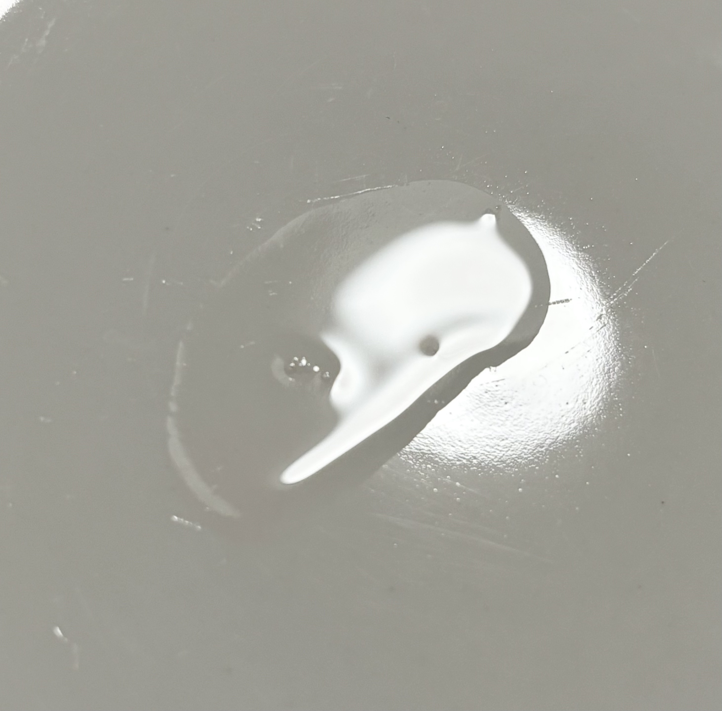 ブラックティーナリッシングヘアエッセンス/ANILLO/ヘアオイルを使ったクチコミ（2枚目）