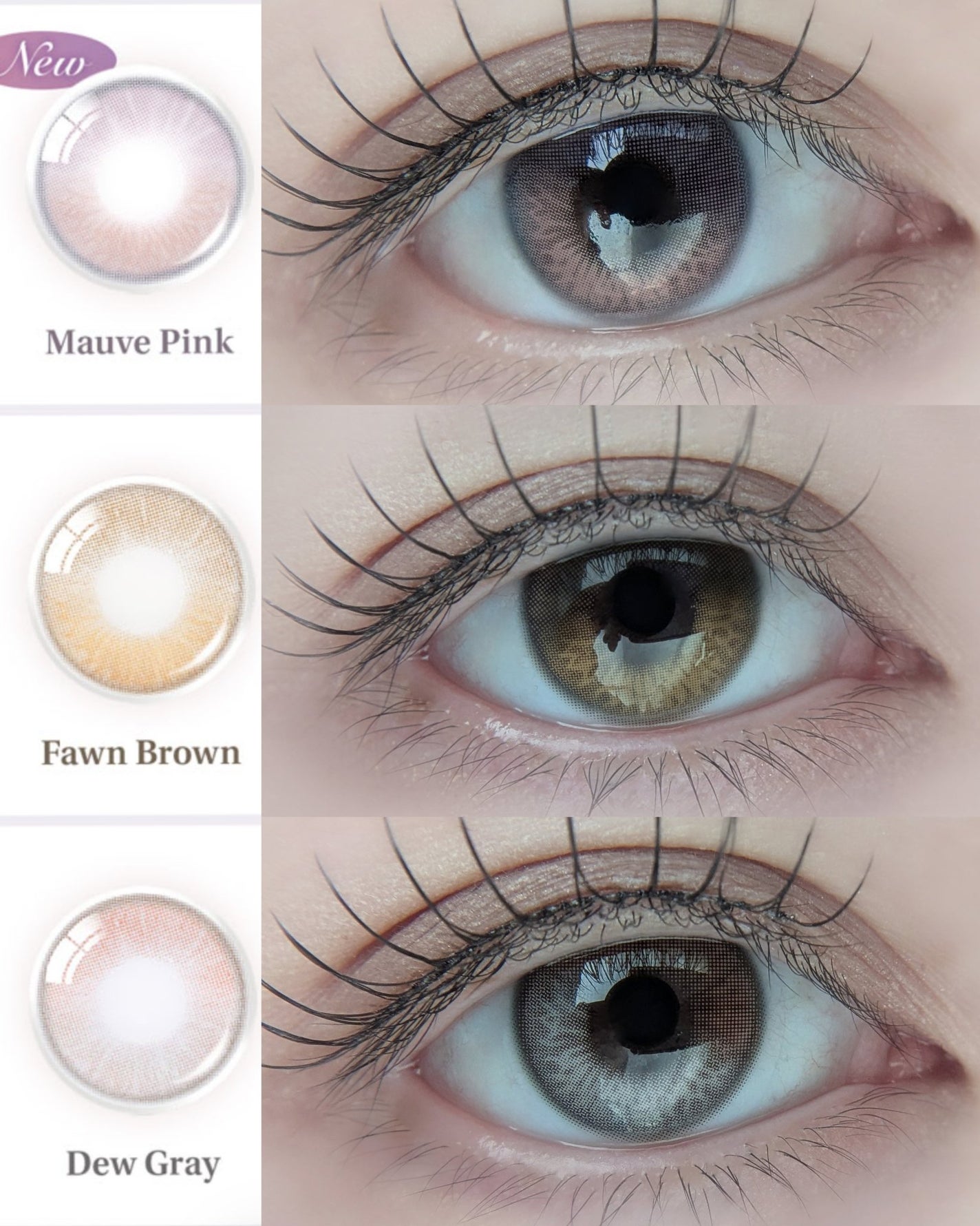 ðŠicaðŠ on LIPS ããäººæ°æ°Žå
ã«ã©ã³ã³ã«æ°è²&ã¯ã³ããŒãç»å ŽãOLENSã ãŒã³ã©ã€..ãïŒ2æç®ïŒ