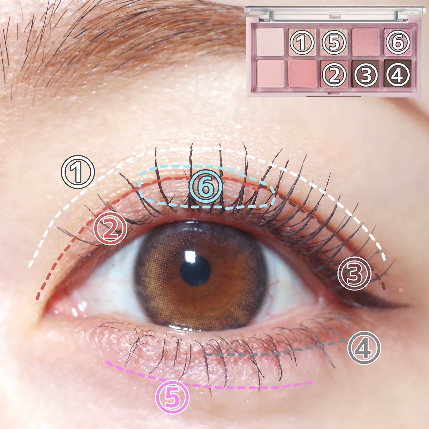 ロムシピ レシピパレット/rom&Cipi/アイシャドウパレットを使ったクチコミ(5枚目)