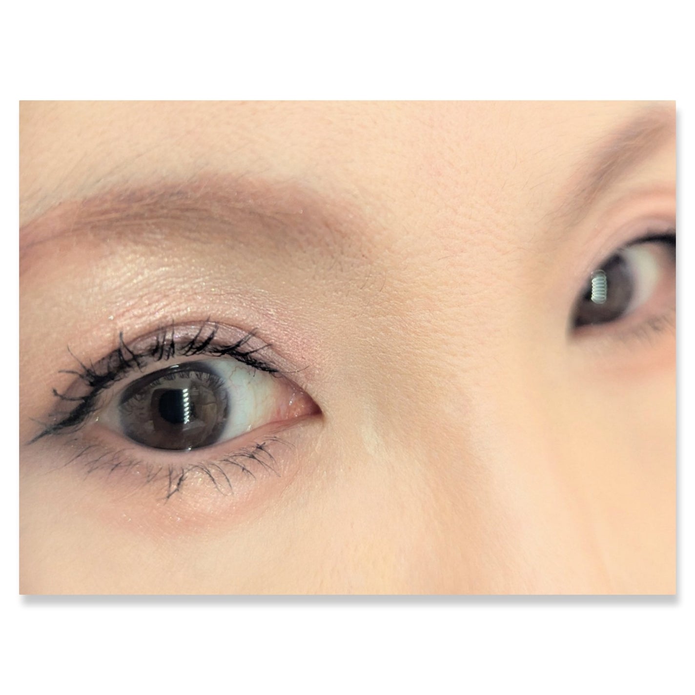 HUAMAO/SHOBIDO/アイシャドウパレットを使ったクチコミ(2枚目)