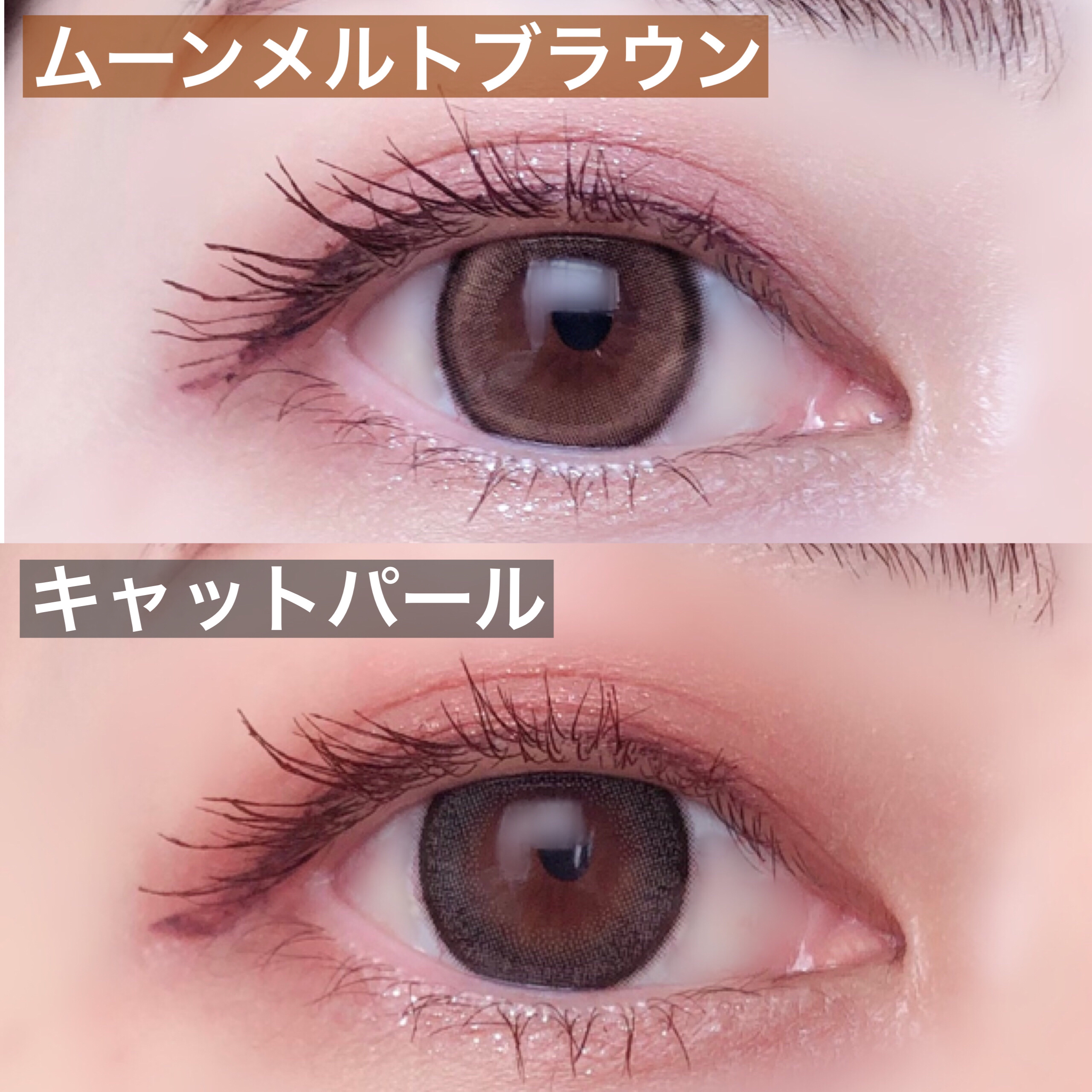 TOPARDS 1day/TOPARDS/ワンデー（１DAY）カラコンを使ったクチコミ（2枚目）