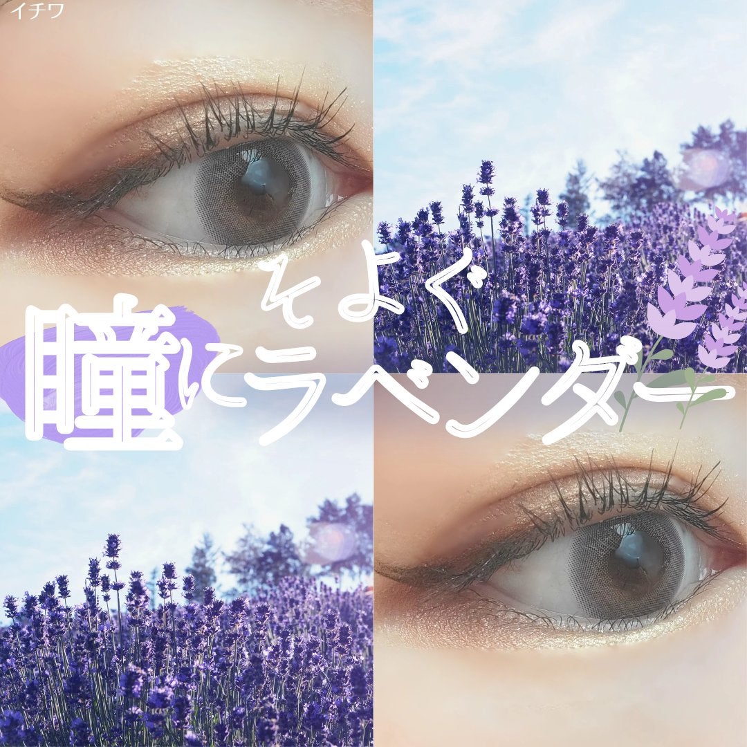 FrenchShine1day/OLENS/ワンデー(1DAY)カラコンを使ったクチコミ(1枚目)