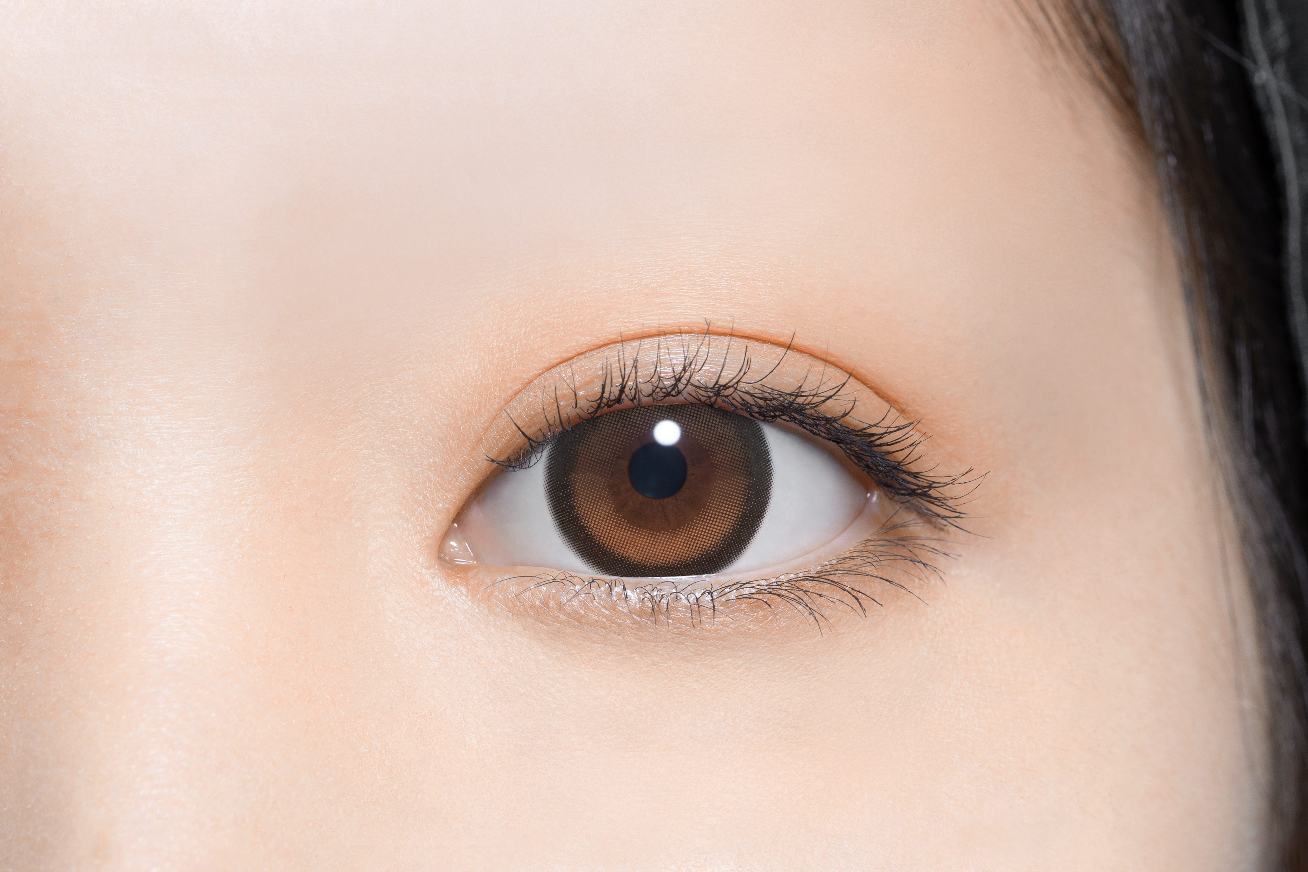 perse 1day サニーベア