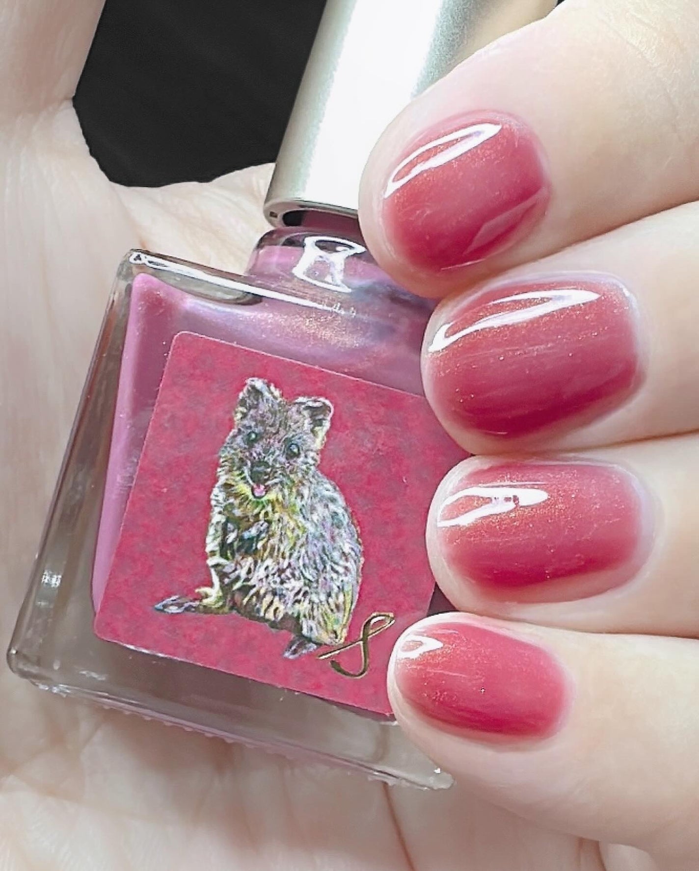 ネイルエス/ nail S(ネイルエス) /マニキュアを使ったクチコミ(1枚目)