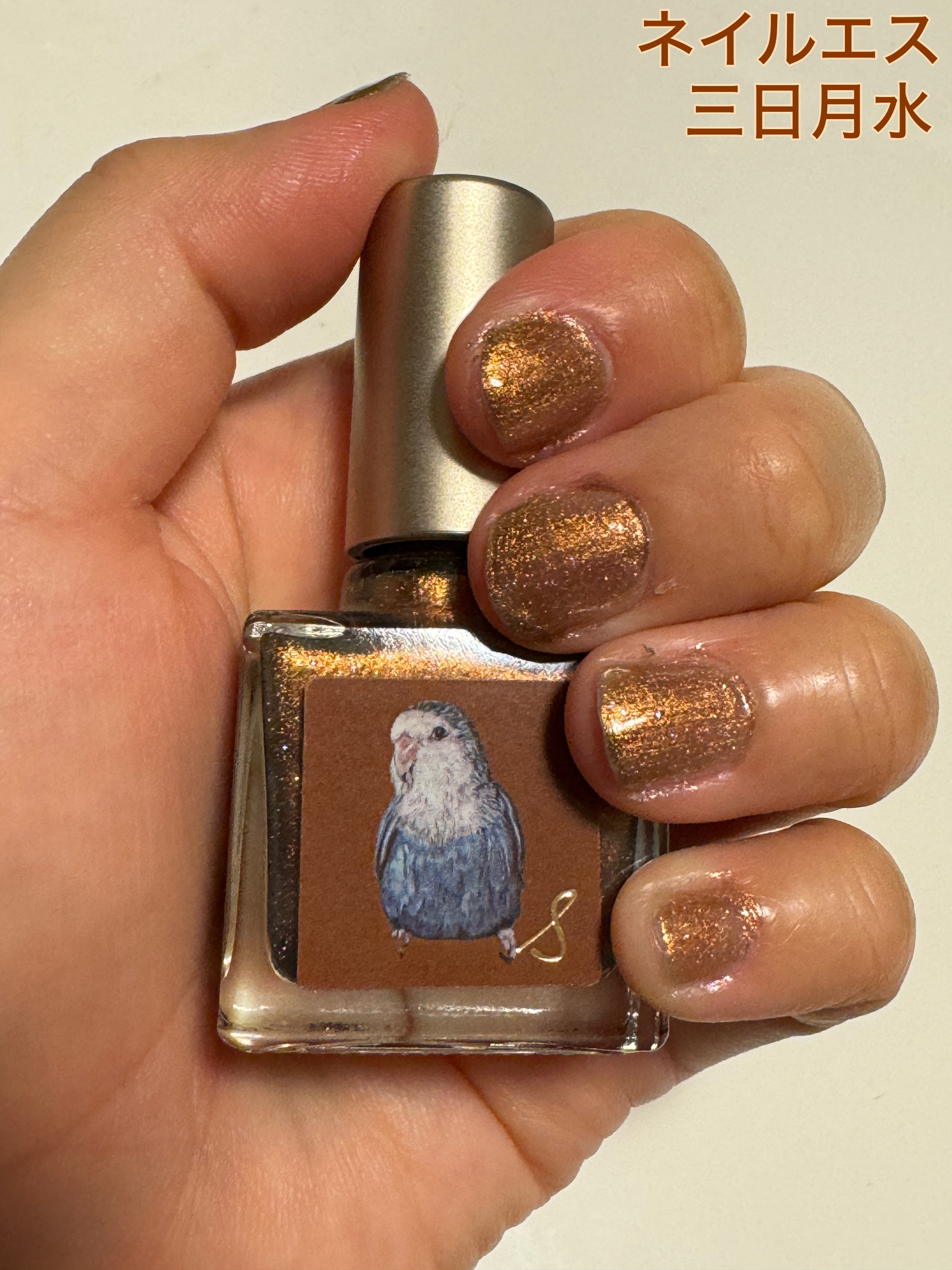 ネイルエス/ nail S(ネイルエス) /マニキュアを使ったクチコミ（1枚目）