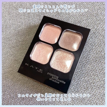 ã±ã€ã ãããã³ã°ã·ã«ãšããã·ã£ããŠ/KATE/ã¢ã€ã·ã£ããŠãã¬ããã䜿ã£ãã¯ãã³ãïŒ5æç®ïŒ