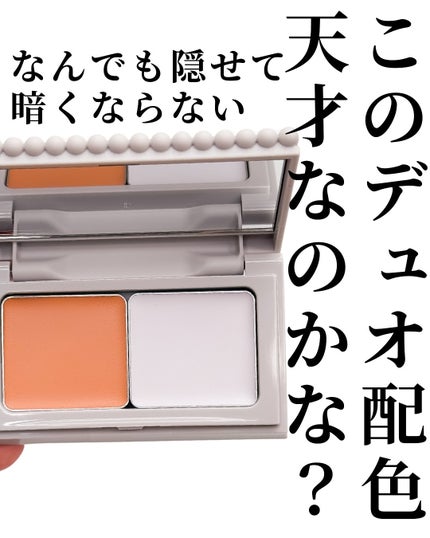 アルビオン スタジオ レイヤードトリック コンシーラー/ALBION/パレットコンシーラーを使ったクチコミ(2枚目)