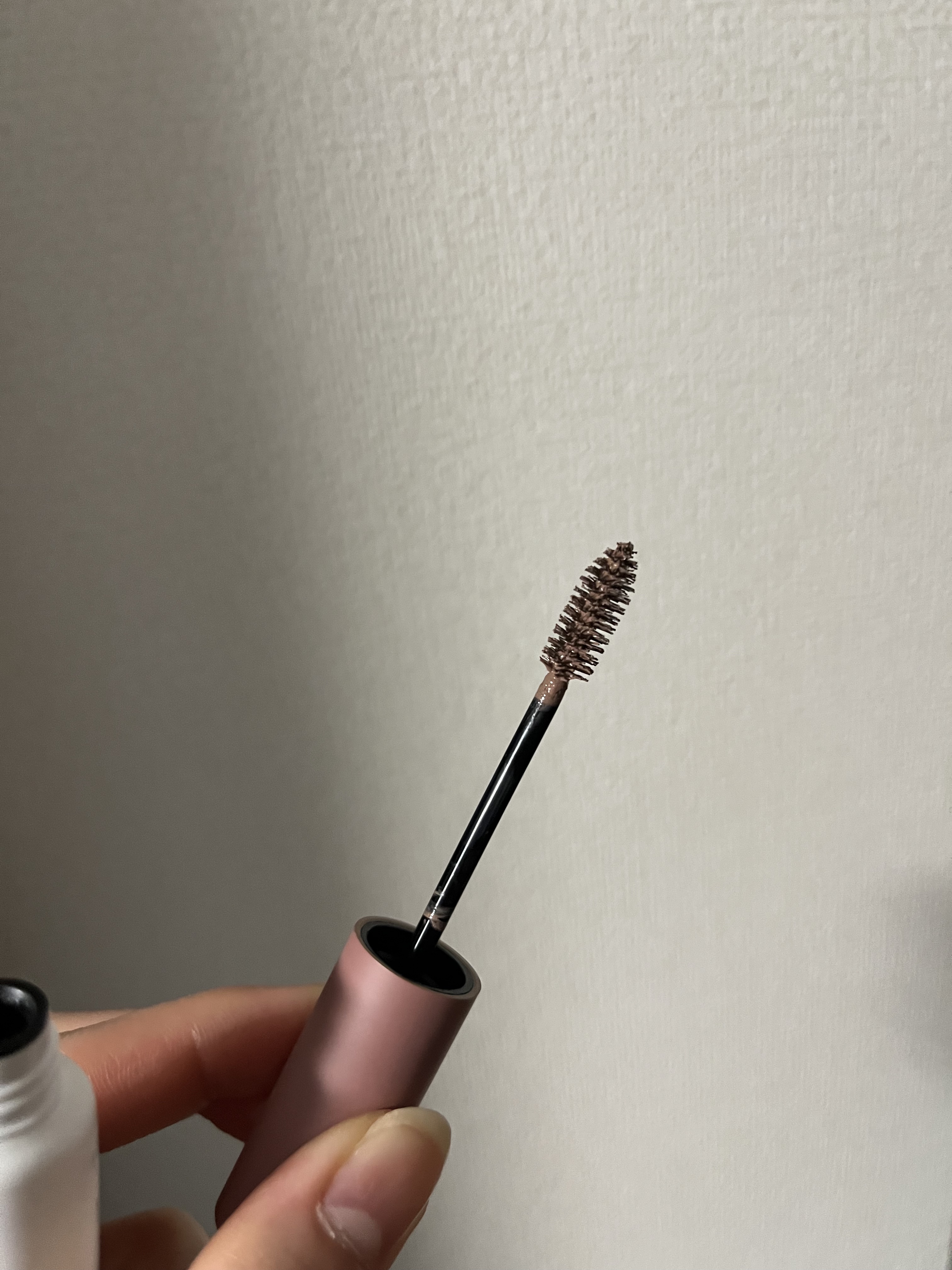 ハンオールブロウカラ/rom&nd/眉マスカラを使ったクチコミ（2枚目）