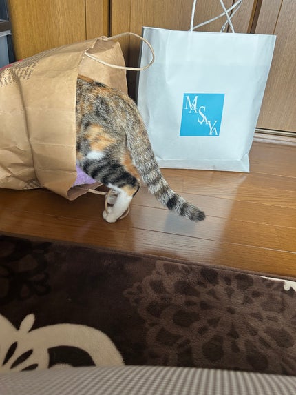 ðââ¬ã«ãããðŸ on LIPS ãåšã«ãäžããã®æãããã£ãŠããã®ãæ©éå
¥ãããšãã¡ã³ã«ããã倱..ãïŒ6æç®ïŒ