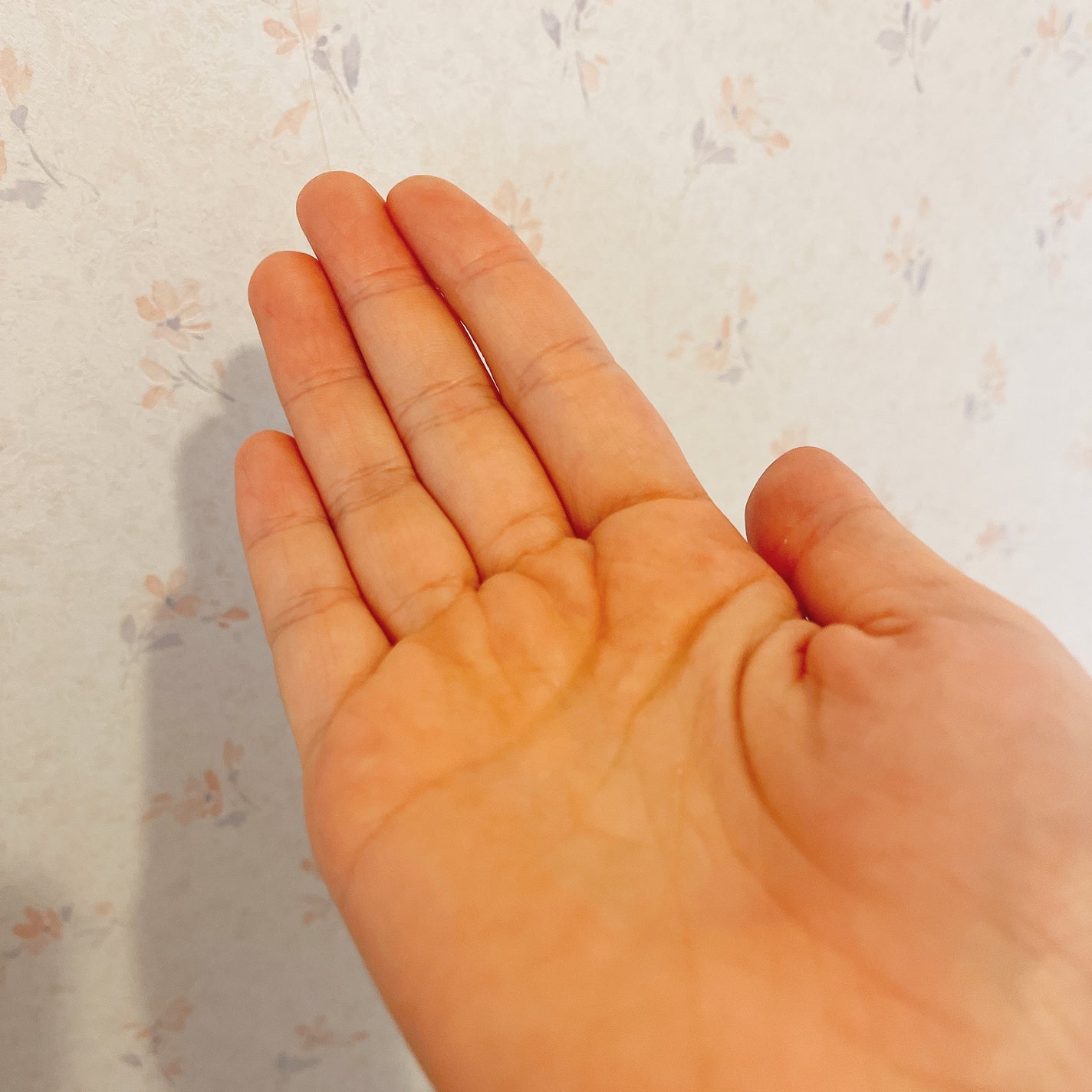 ワフードメイド 発酵酒粕化粧水 グロー/pdc/化粧水を使ったクチコミ(4枚目)