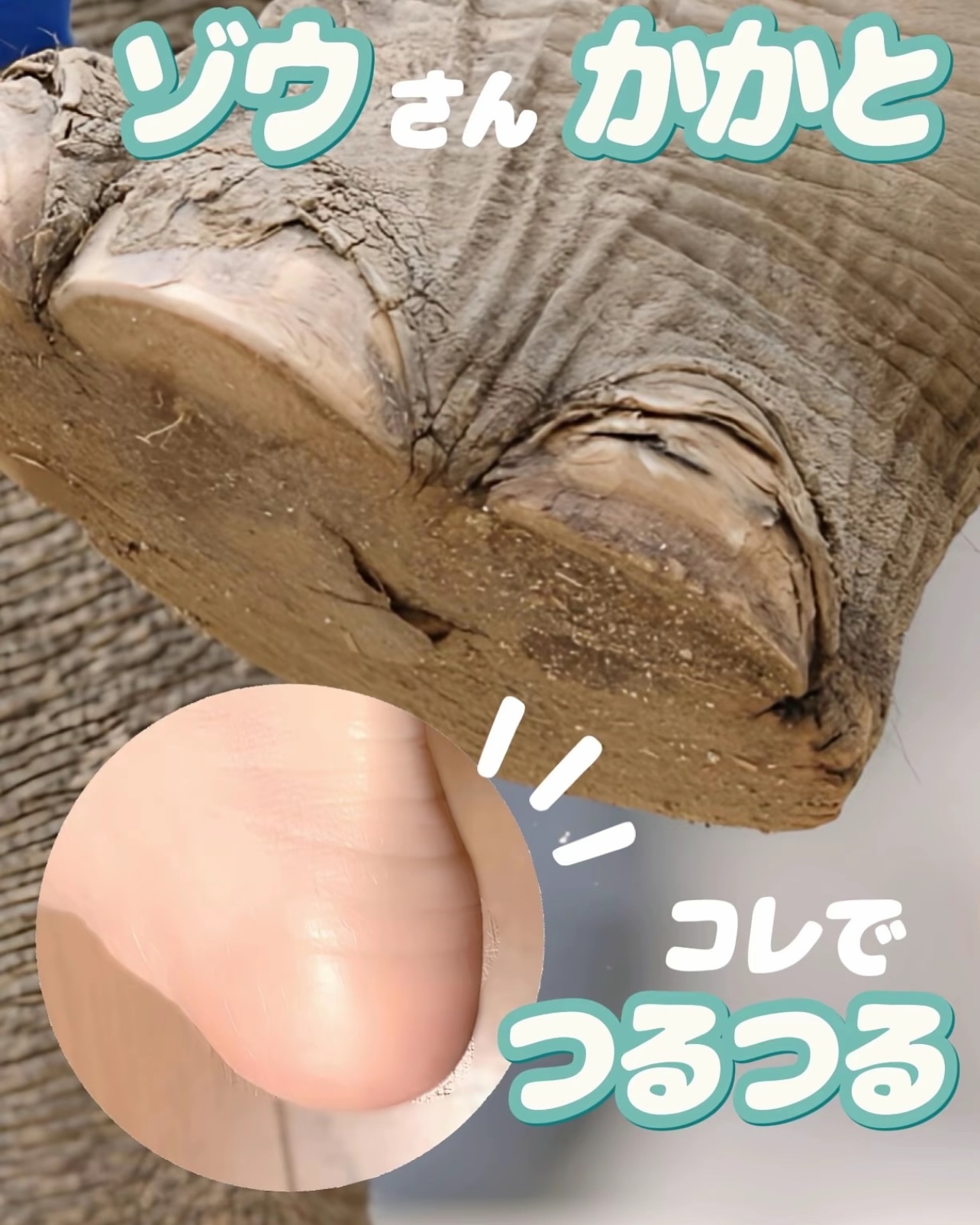 リードルショット リッチハンドマスク/VT/ハンドクリームを使ったクチコミ（1枚目）