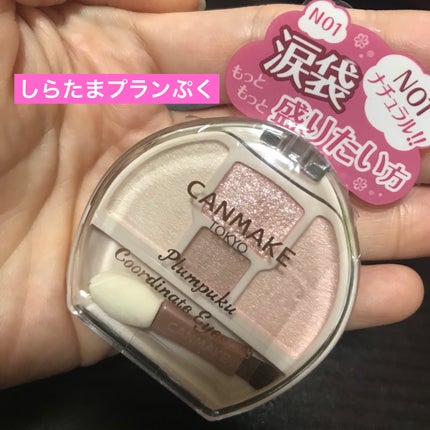 プランぷくコーデアイズNeo/キャンメイク/アイシャドウを使ったクチコミ(1枚目)