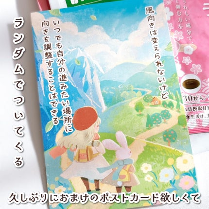 KOMBUCHA【紅茶キノコ】/シードコムス/美容サプリメントを使ったクチコミ(2枚目)