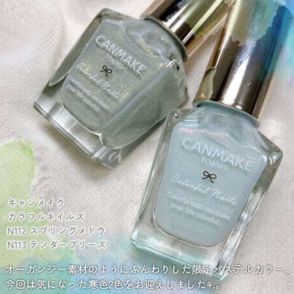 カラフルネイルズ/キャンメイク/マニキュアを使ったクチコミ(2枚目)