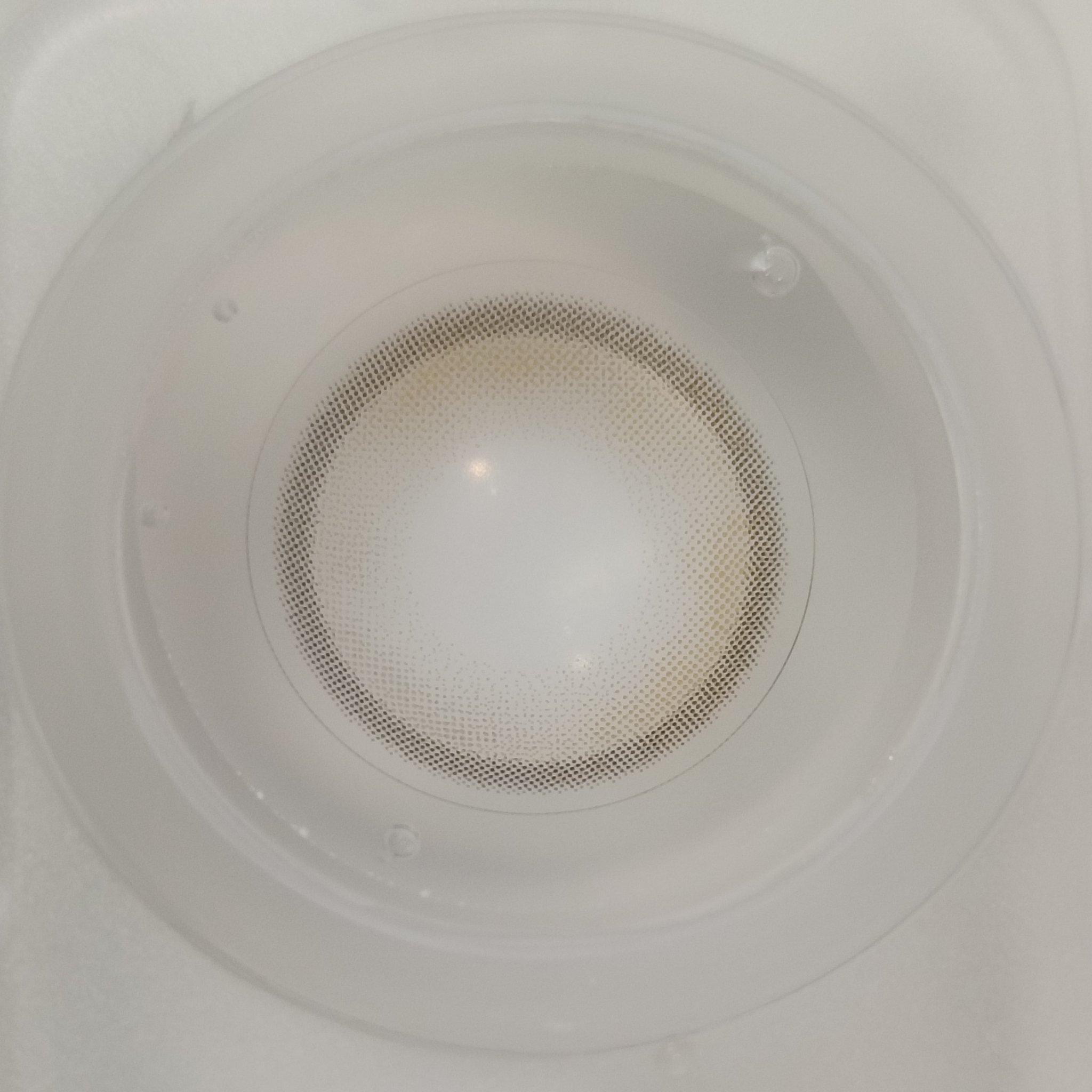 EYECICLE 1day/EYECICLE/カラーコンタクトレンズを使ったクチコミ（2枚目）