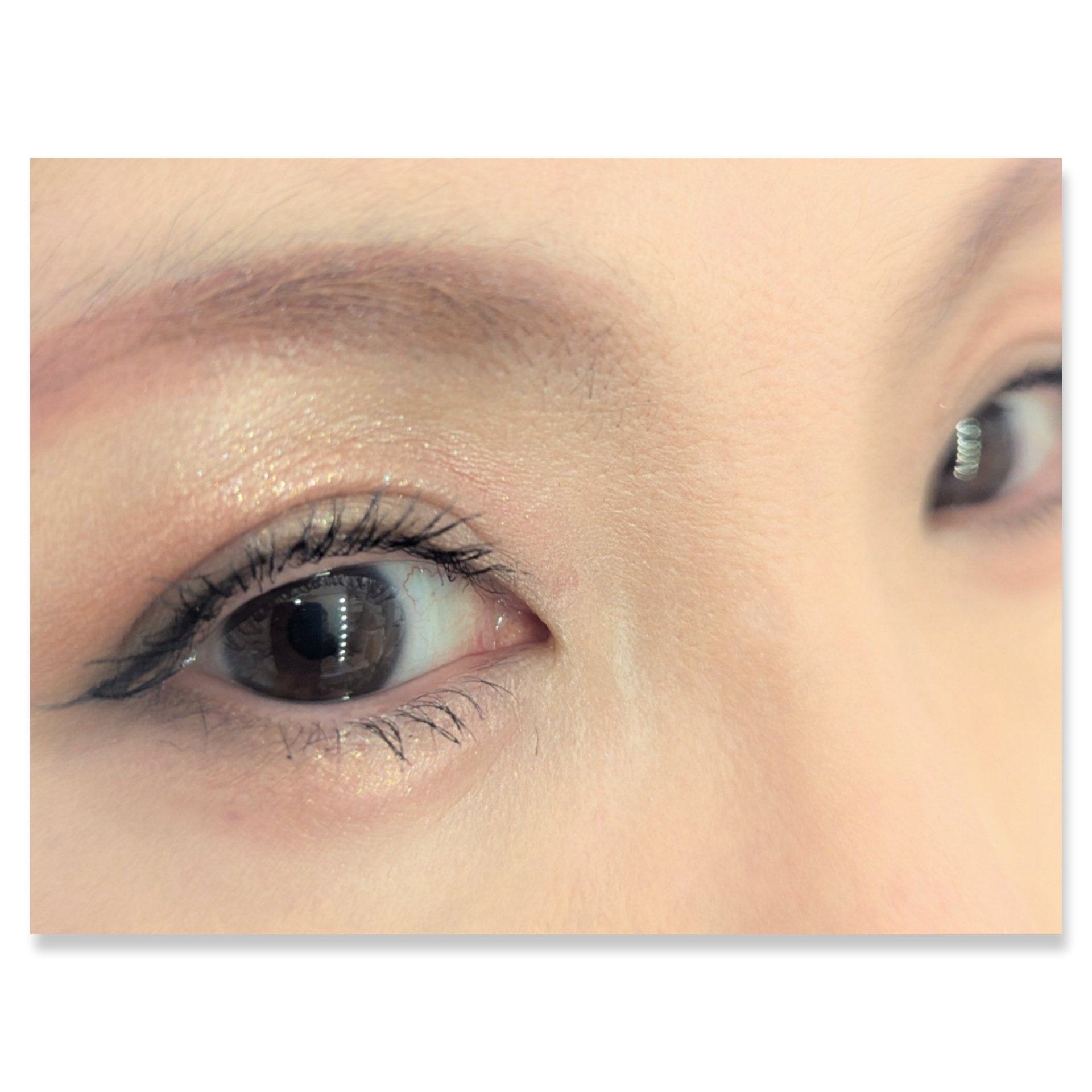 グロッシーリッチ アイズ N/Visée/アイシャドウパレットを使ったクチコミ（2枚目）