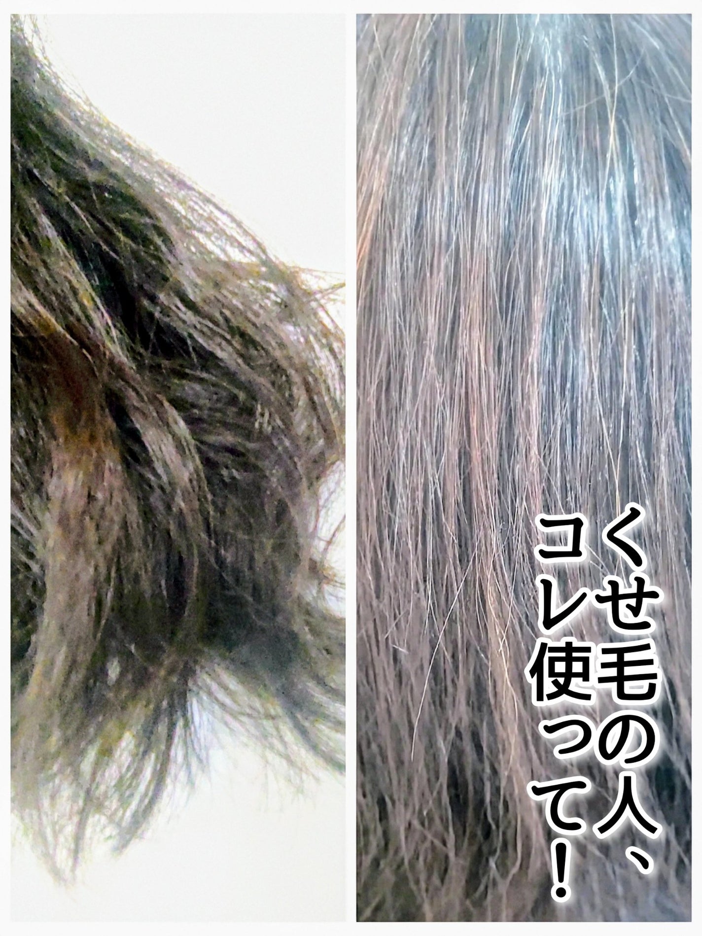 ヒートケア&スタイリング ミルク/プロスタイル/プレスタイリング・寝ぐせ直しを使ったクチコミ(1枚目)