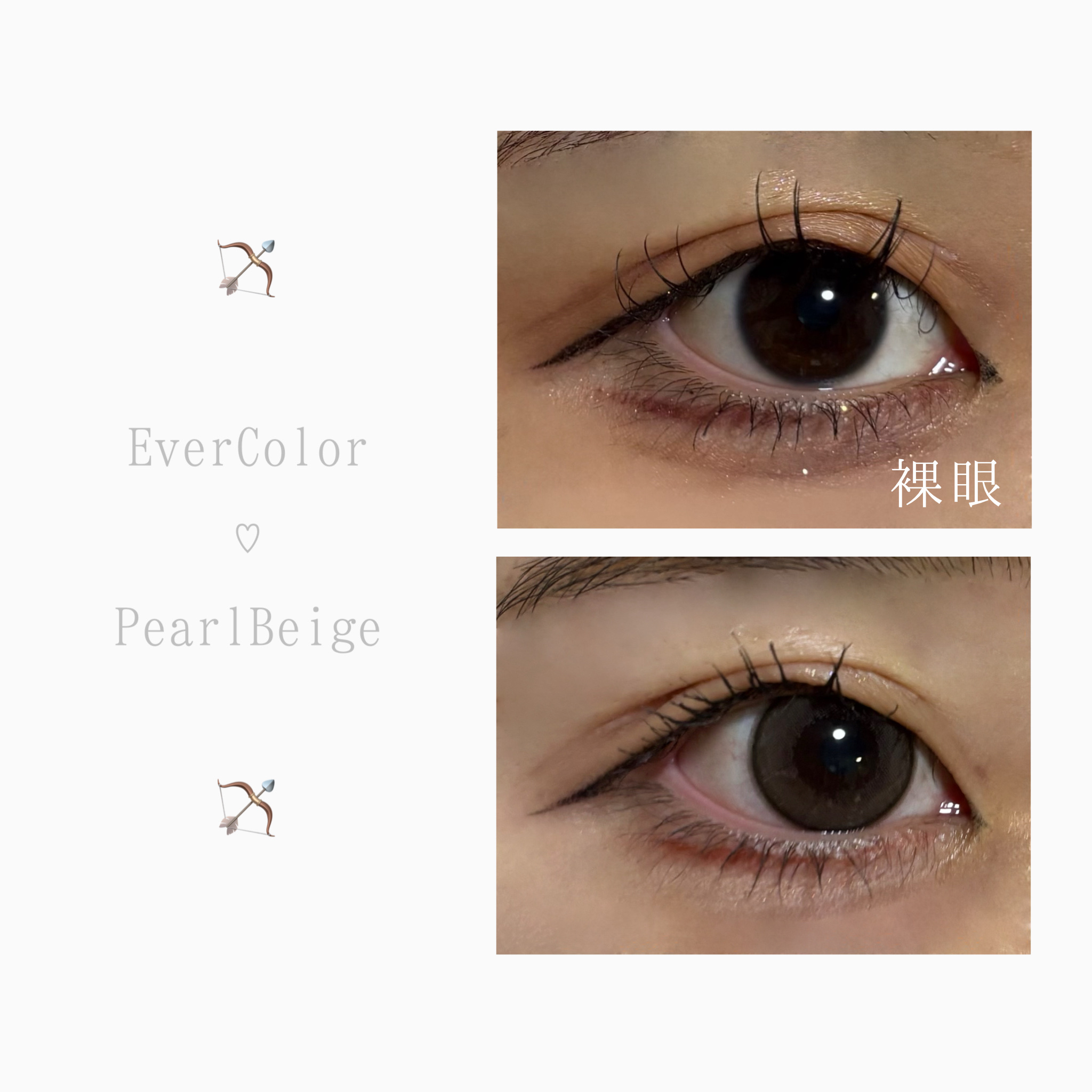 エバーカラーマンスリー パールベージュ/エバーカラー/１ヶ月（１MONTH）カラコンを使ったクチコミ（3枚目）