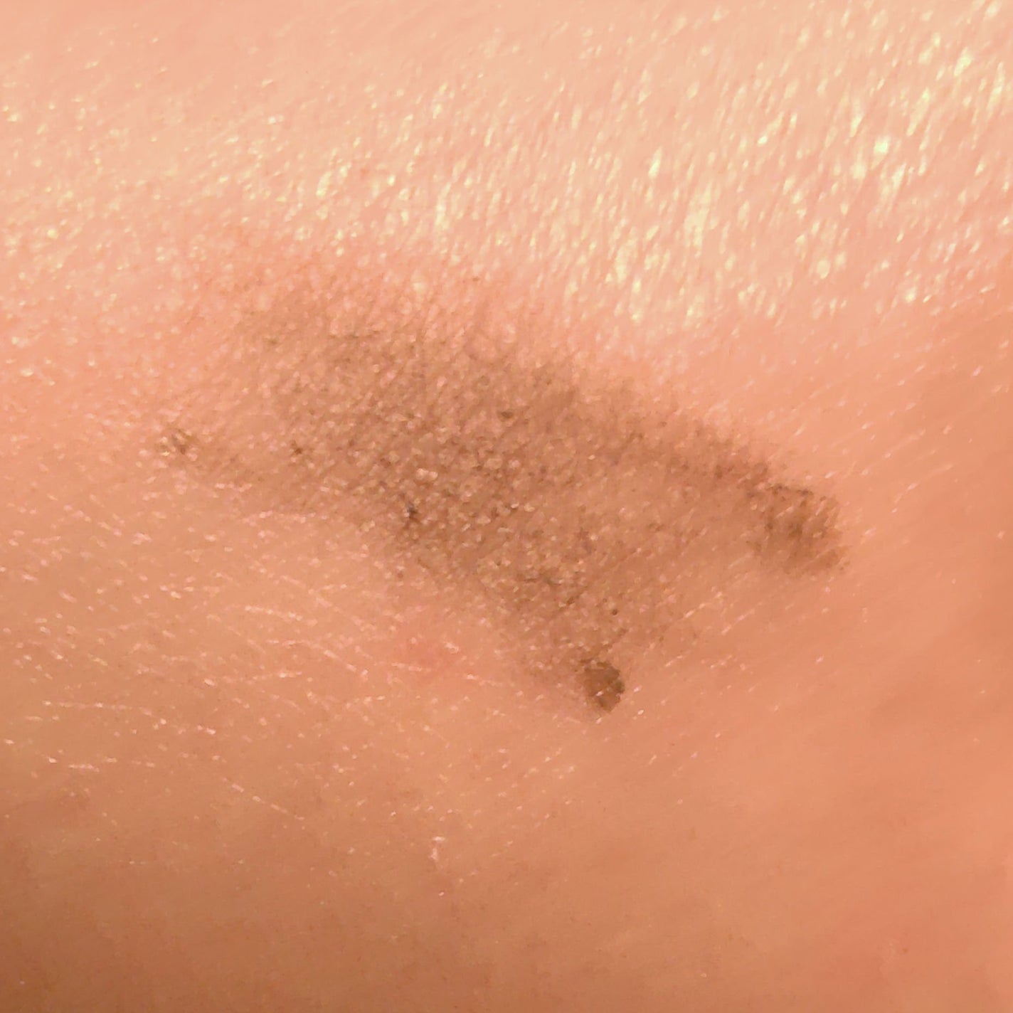 ブロウラッシュEX スタイリングアイブロウマスカラ /ブロウラッシュ/眉マスカラを使ったクチコミ(5枚目)