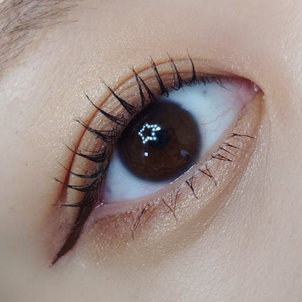 スキニーリッチシャドウ/excel/アイシャドウパレットを使ったクチコミ(4枚目)